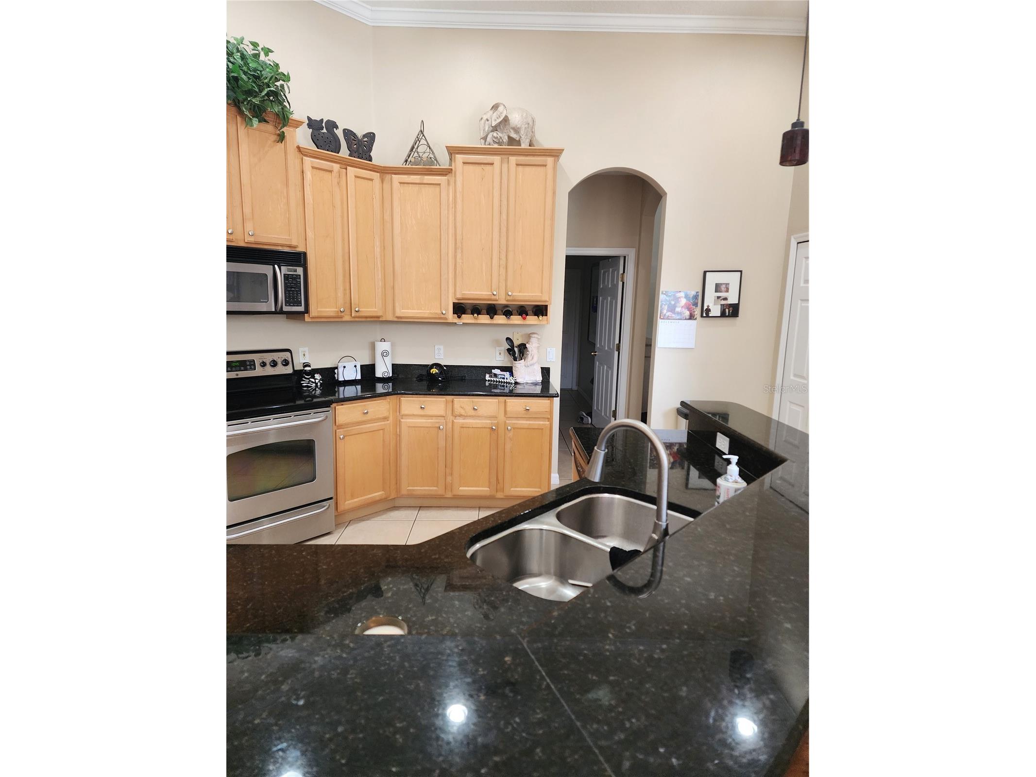 3833 Emerald Estates Circle Apopka FL 32703 A4677137 image14