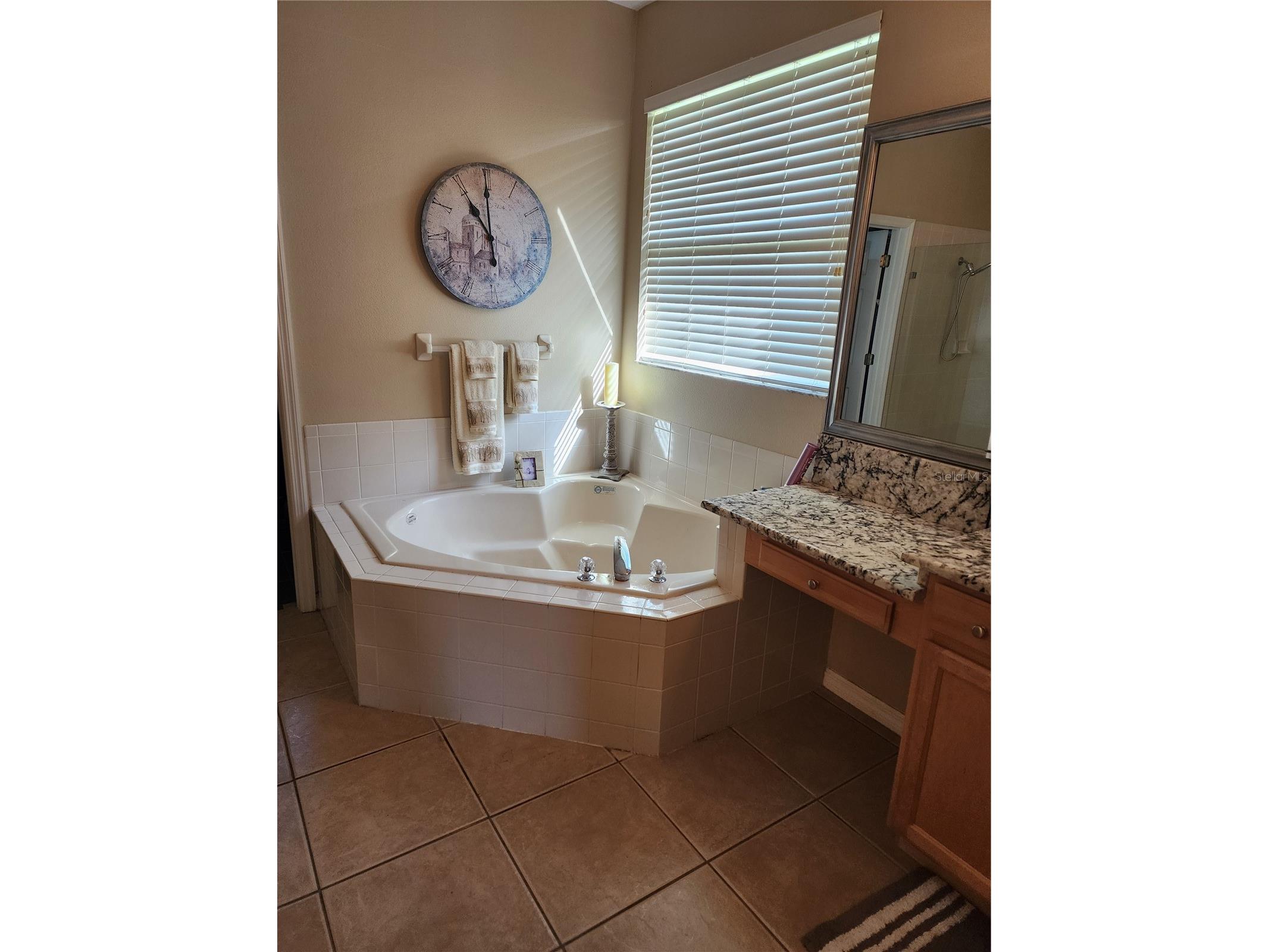 3833 Emerald Estates Circle Apopka FL 32703 A4677137 image18