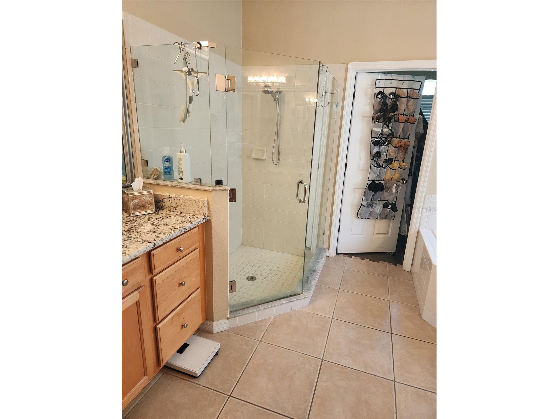 3833 Emerald Estates Circle Apopka FL 32703 A4677137 image19