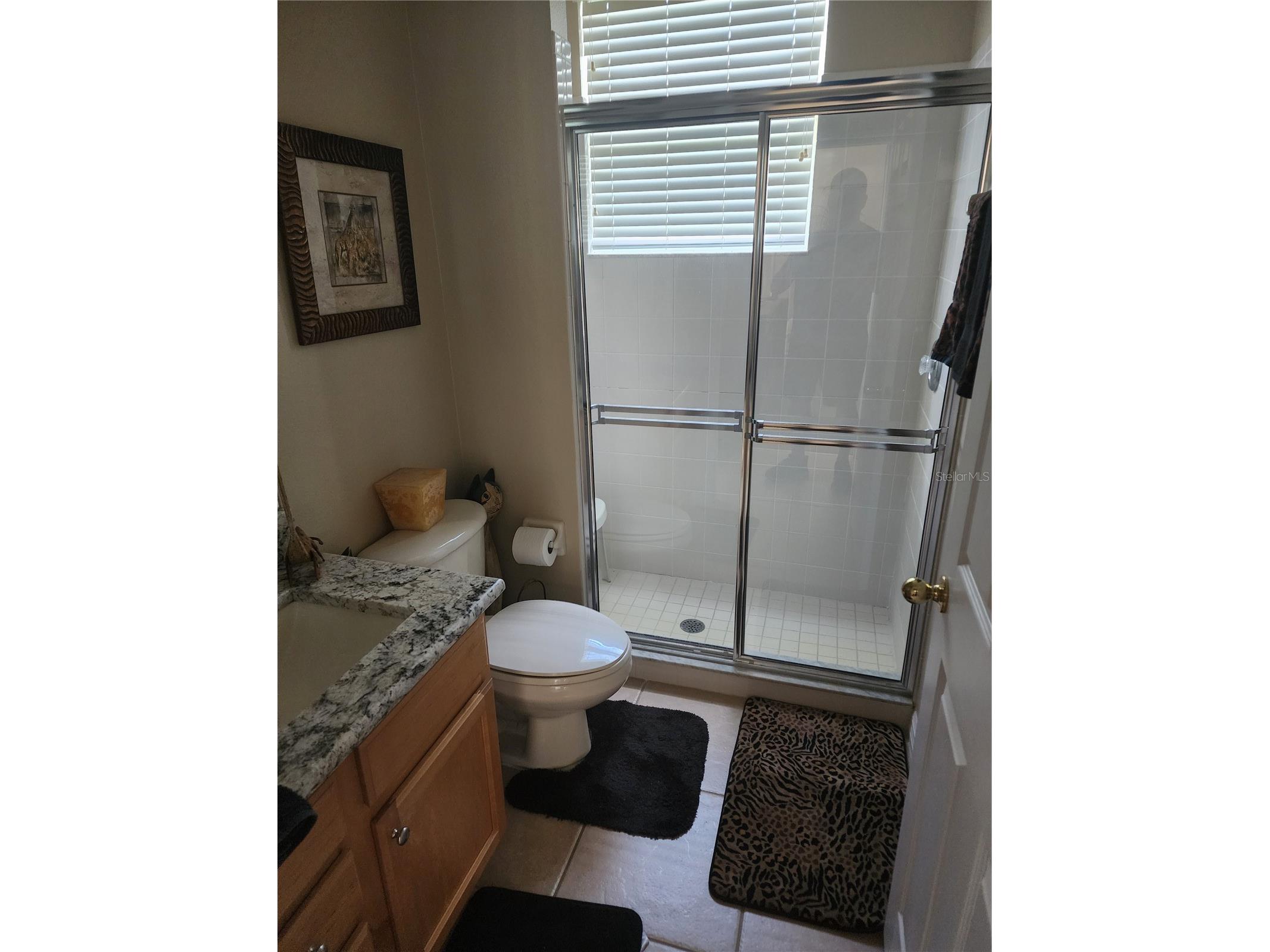 3833 Emerald Estates Circle Apopka FL 32703 A4677137 image24