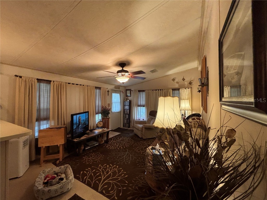 3833 Olax Court Zellwood FL 32798 - COHEN AND GRASSMERE O6364369 image15