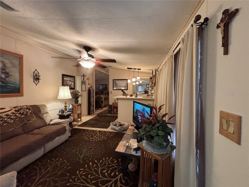 3833 Olax Court Zellwood FL 32798 - COHEN AND GRASSMERE O6364369 image16