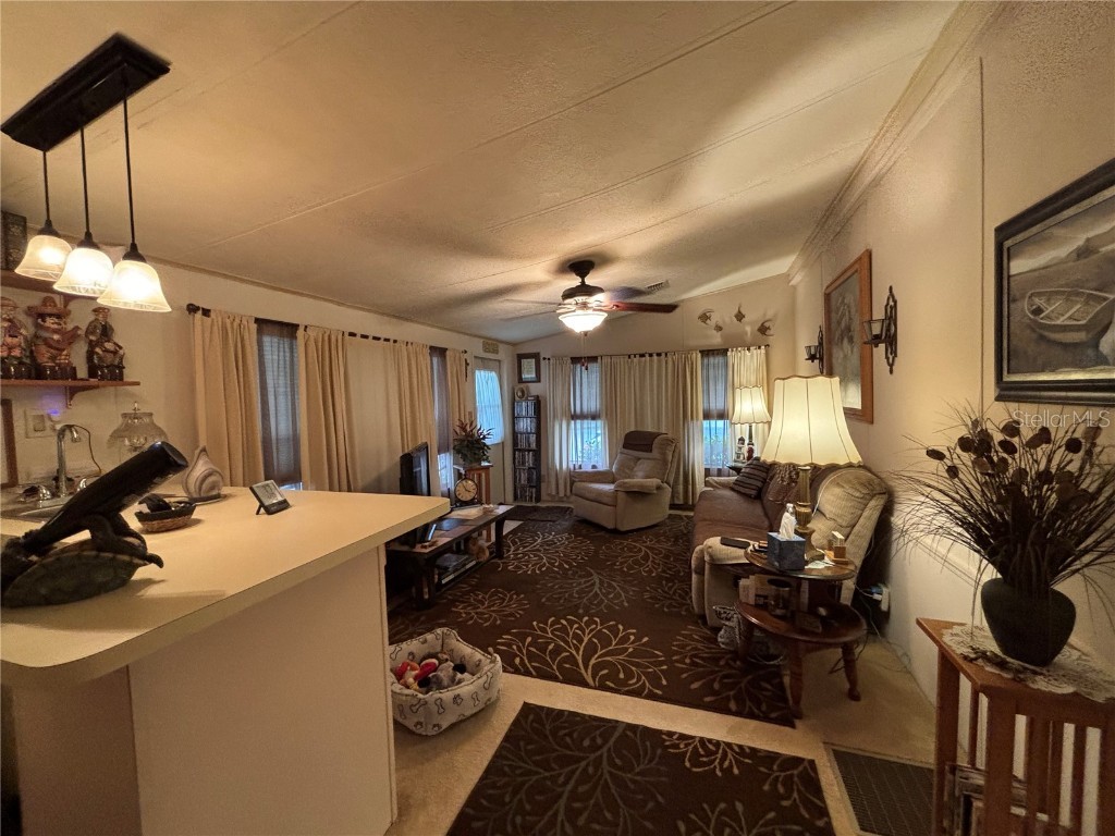 3833 Olax Court Zellwood FL 32798 - COHEN AND GRASSMERE O6364369 image19