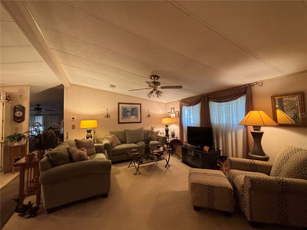 3833 Olax Court Zellwood FL 32798 - COHEN AND GRASSMERE O6364369 image5