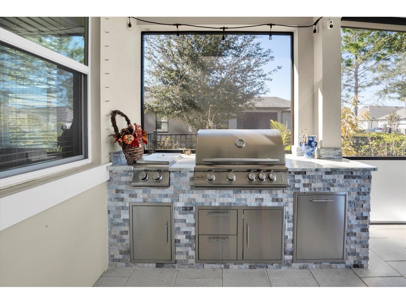3833 Villamore Lane Odessa FL 33556 W7882489 image18