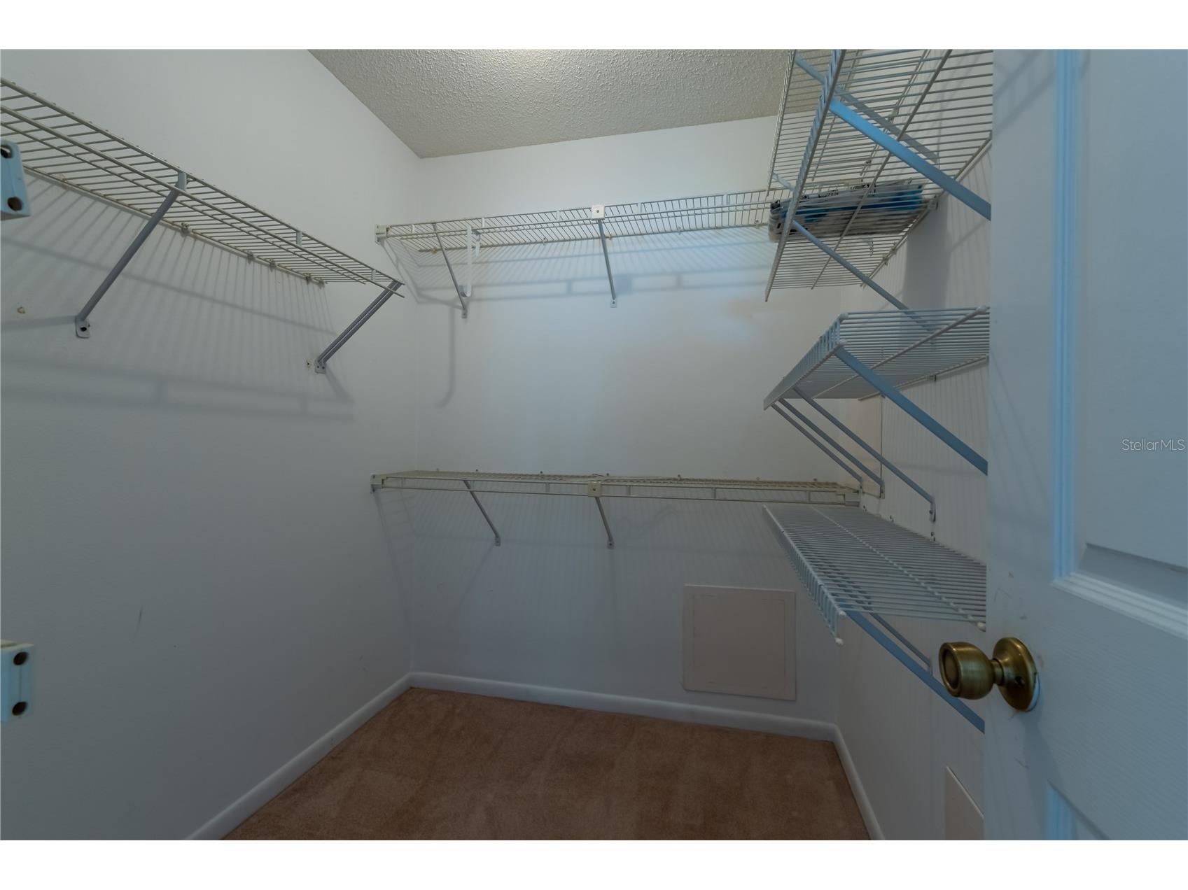 38334 Cottonwood Place Zephyrhills FL 33542 TB8484798 image11