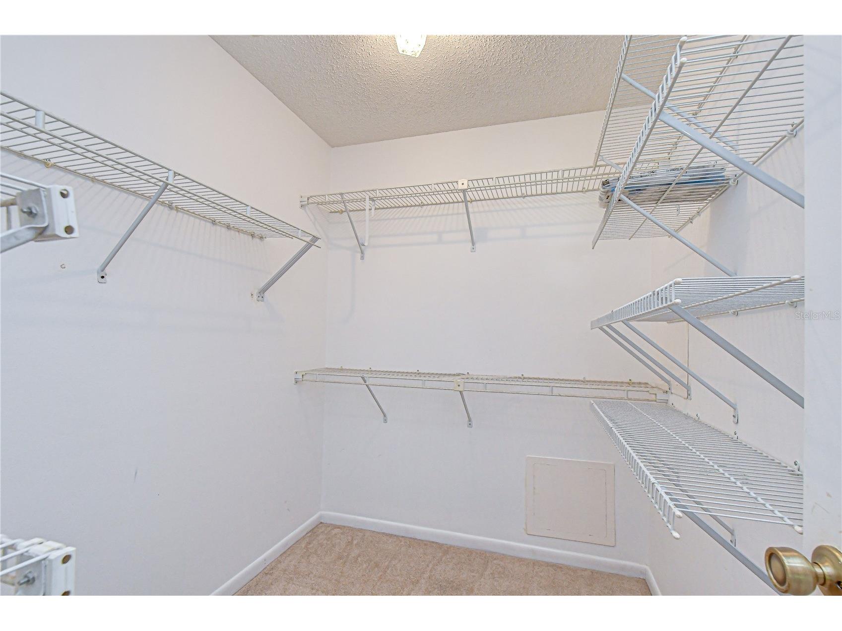 38334 Cottonwood Place #. Zephyrhills FL 33542 TB8509232 image22