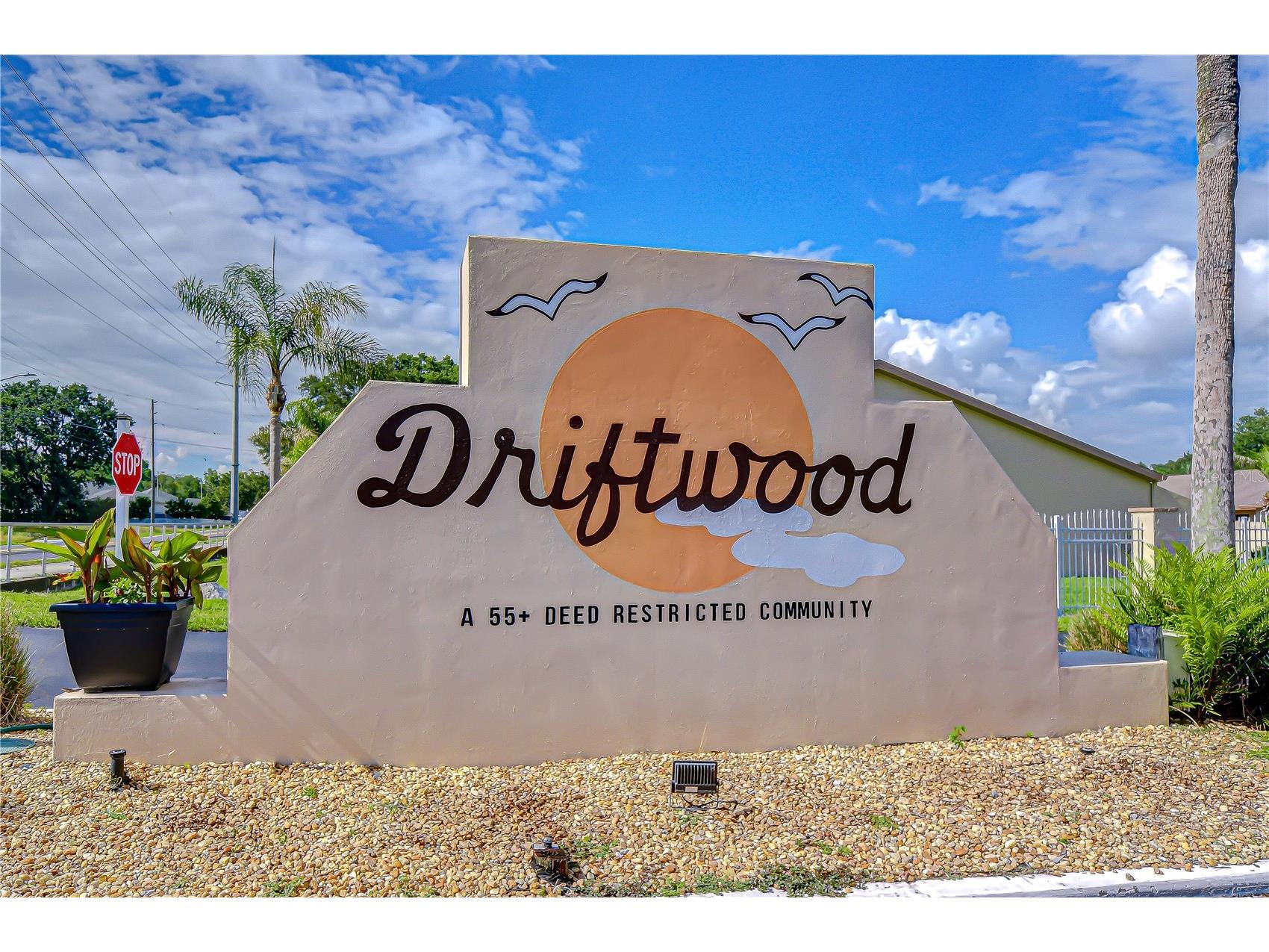 38334 Cottonwood Place #. Zephyrhills FL 33542 TB8509232 image32