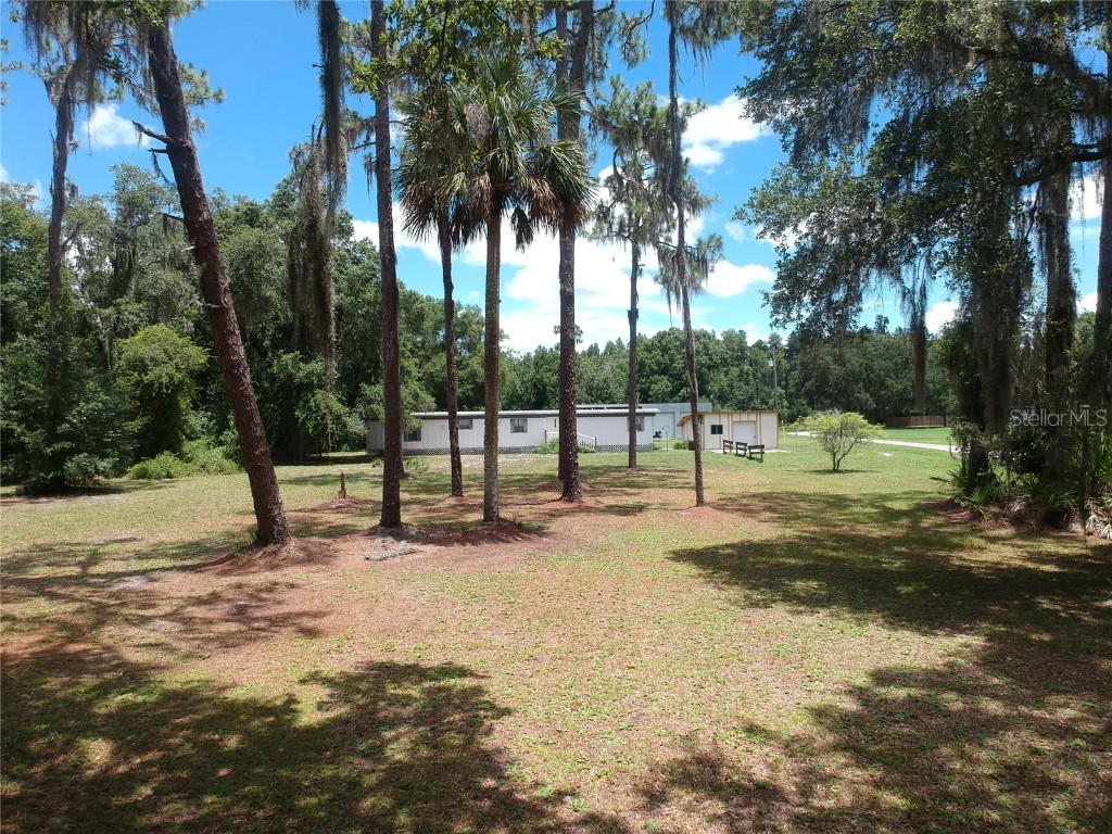 38335 County Line Road Zephyrhills FL 33540 T3537589 image1