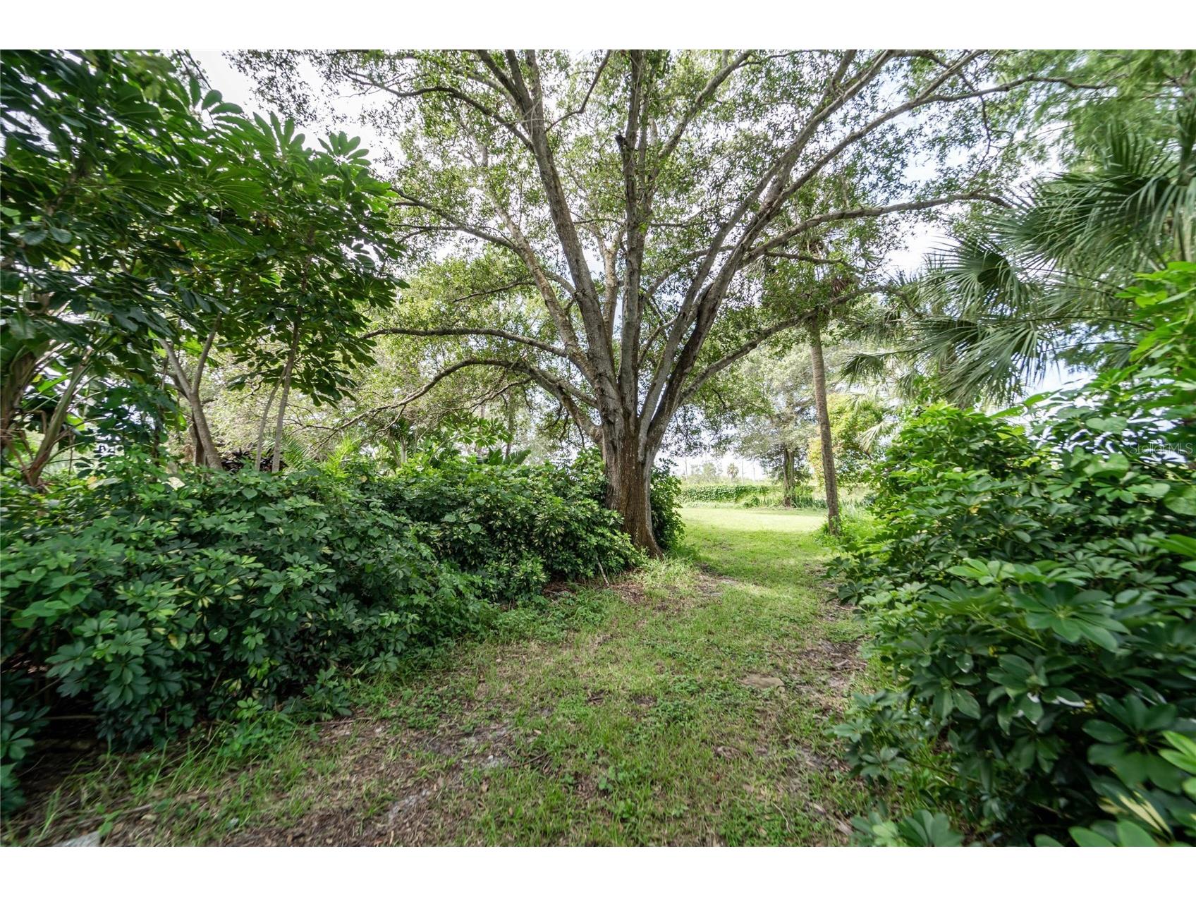 3834 29 Avenue Saint Petersburg FL 33711 TB8481228 image21