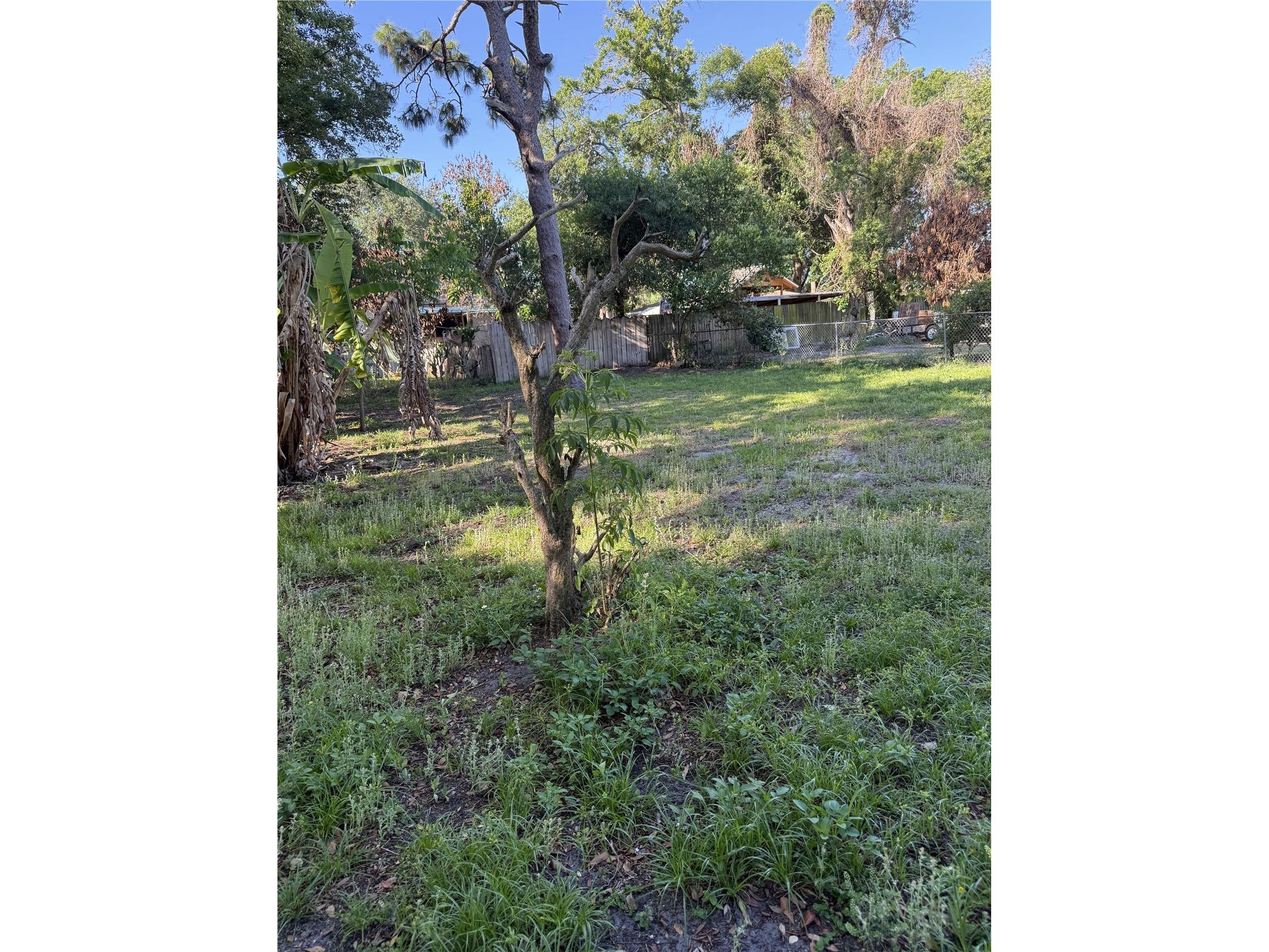 3834 Avenue O NW Winter Haven FL 33881 P4938516 image14