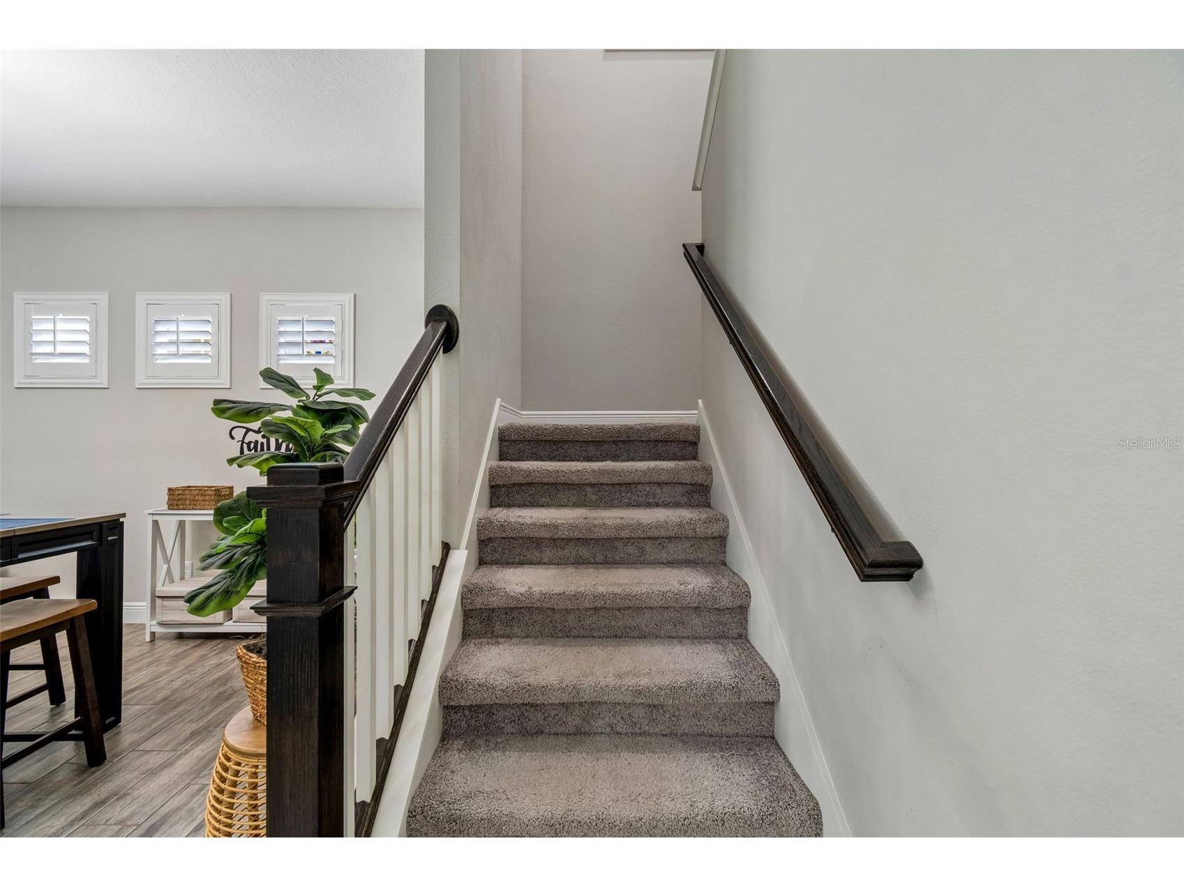 3834 Balcony Breeze Drive Land O Lakes FL 34638 TB8516521 image18