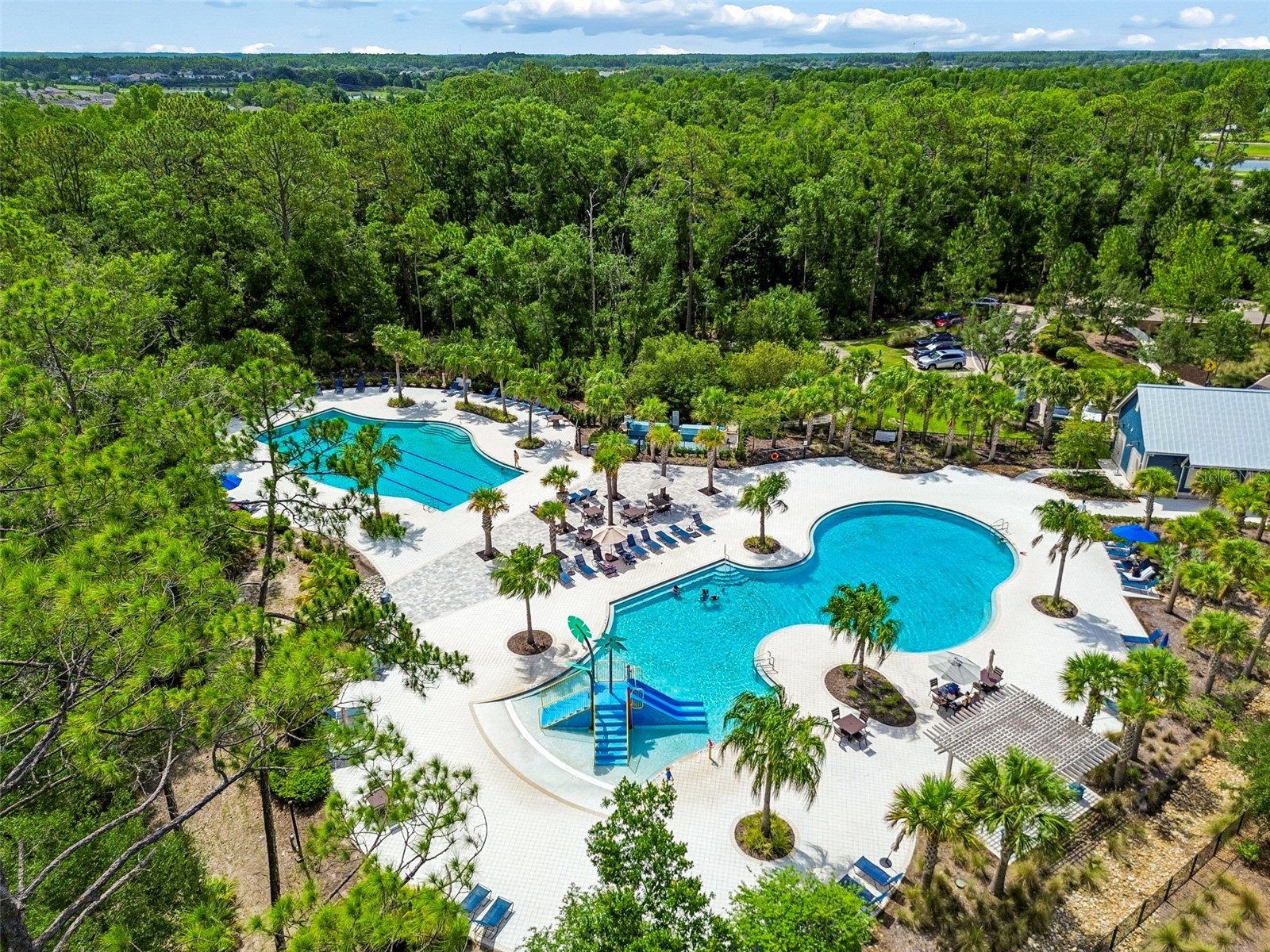 3834 Balcony Breeze Drive Land O Lakes FL 34638 TB8516521 image3