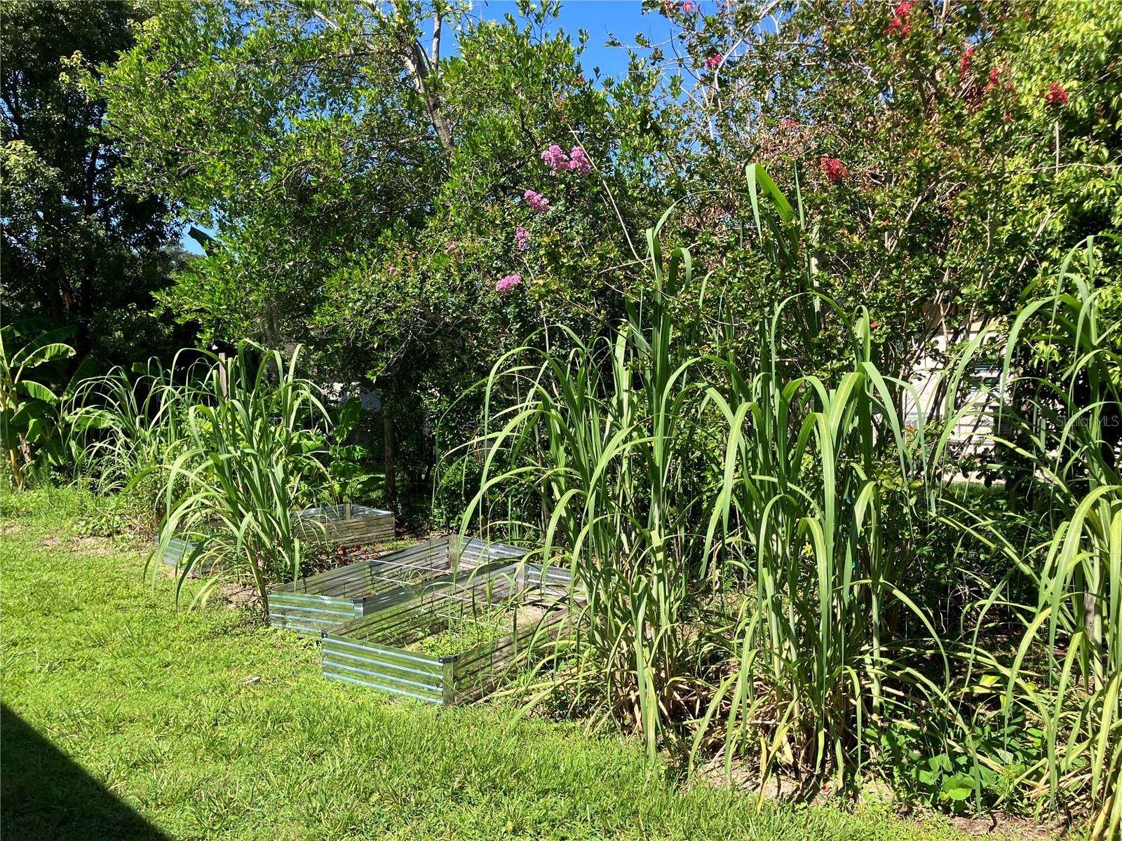 3834 Charter Road Lakeland FL 33810 TB8520813 image50
