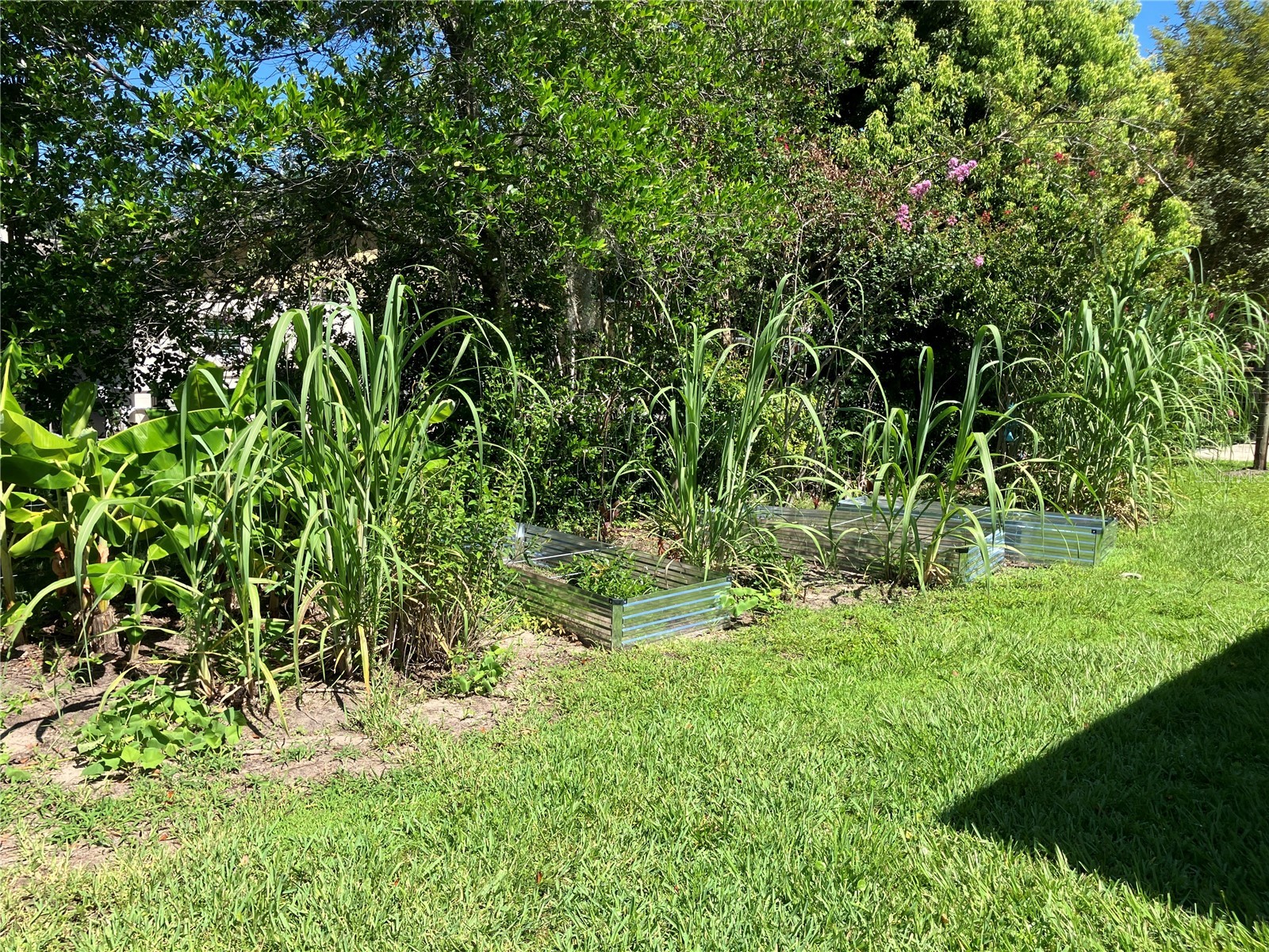 3834 Charter Road Lakeland FL 33810 TB8520813 image51