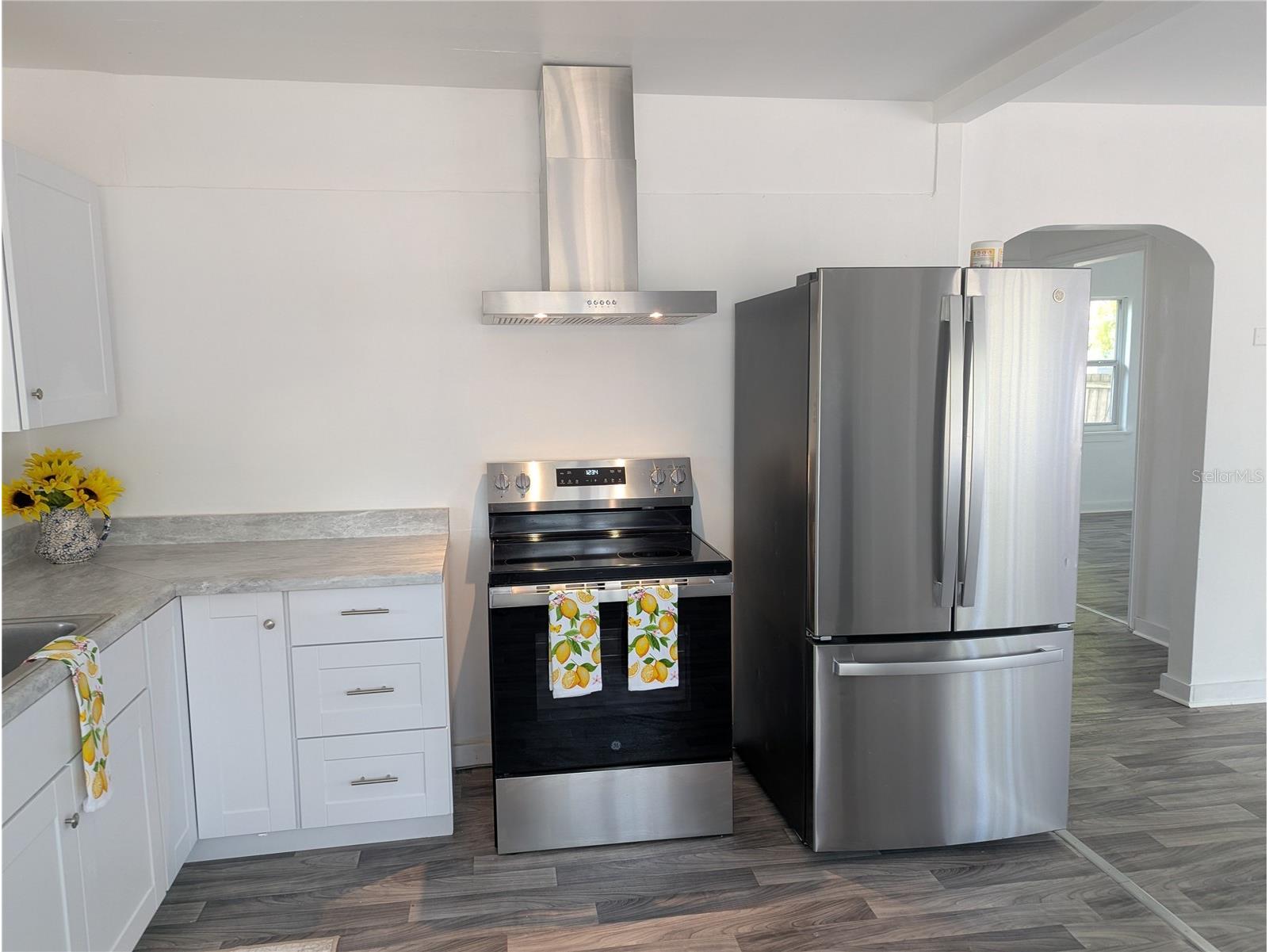 3834 Dr Martin Luther King Jr Street S Saint Petersburg FL 33705 - LAKE MGGIORE TB8497382 image7