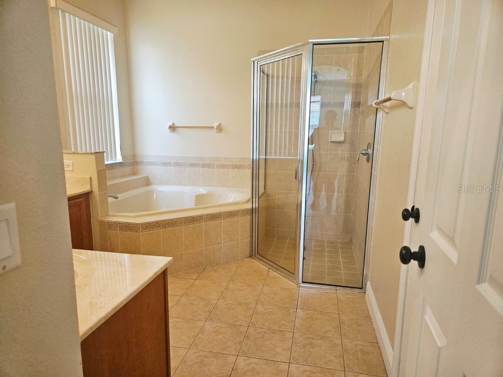 3834 Golden Feather Way Kissimmee FL 34746 S5132294 image11