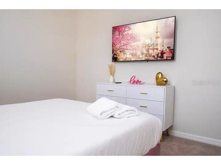 3834 Lana Avenue Davenport FL 33897 S5124613 image21