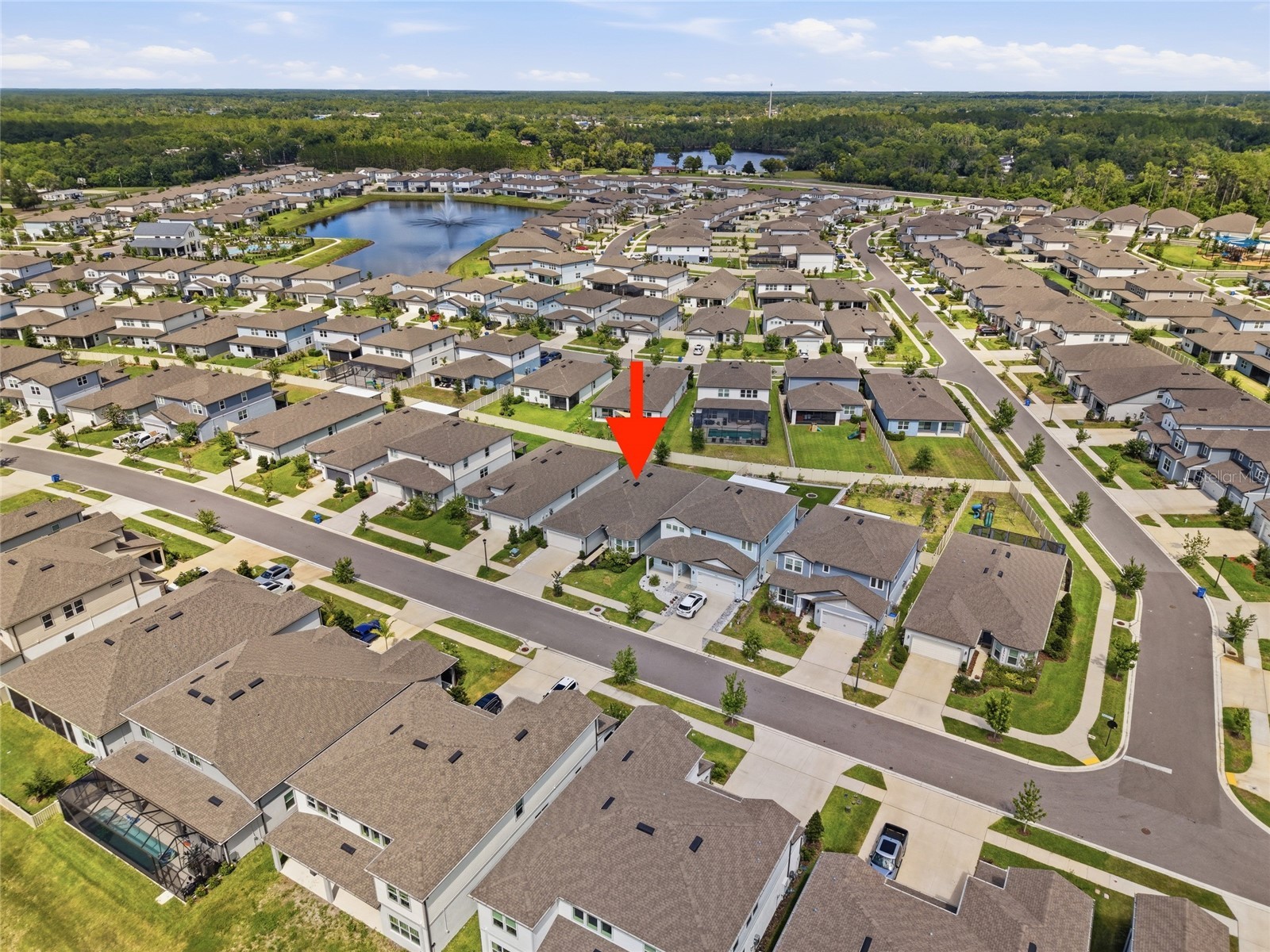 3834 Maple Bay Lane Land O Lakes FL 34638 TB8517076 image39