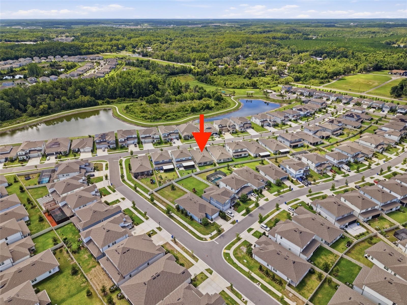 3834 Maple Bay Lane Land O Lakes FL 34638 TB8517076 image43