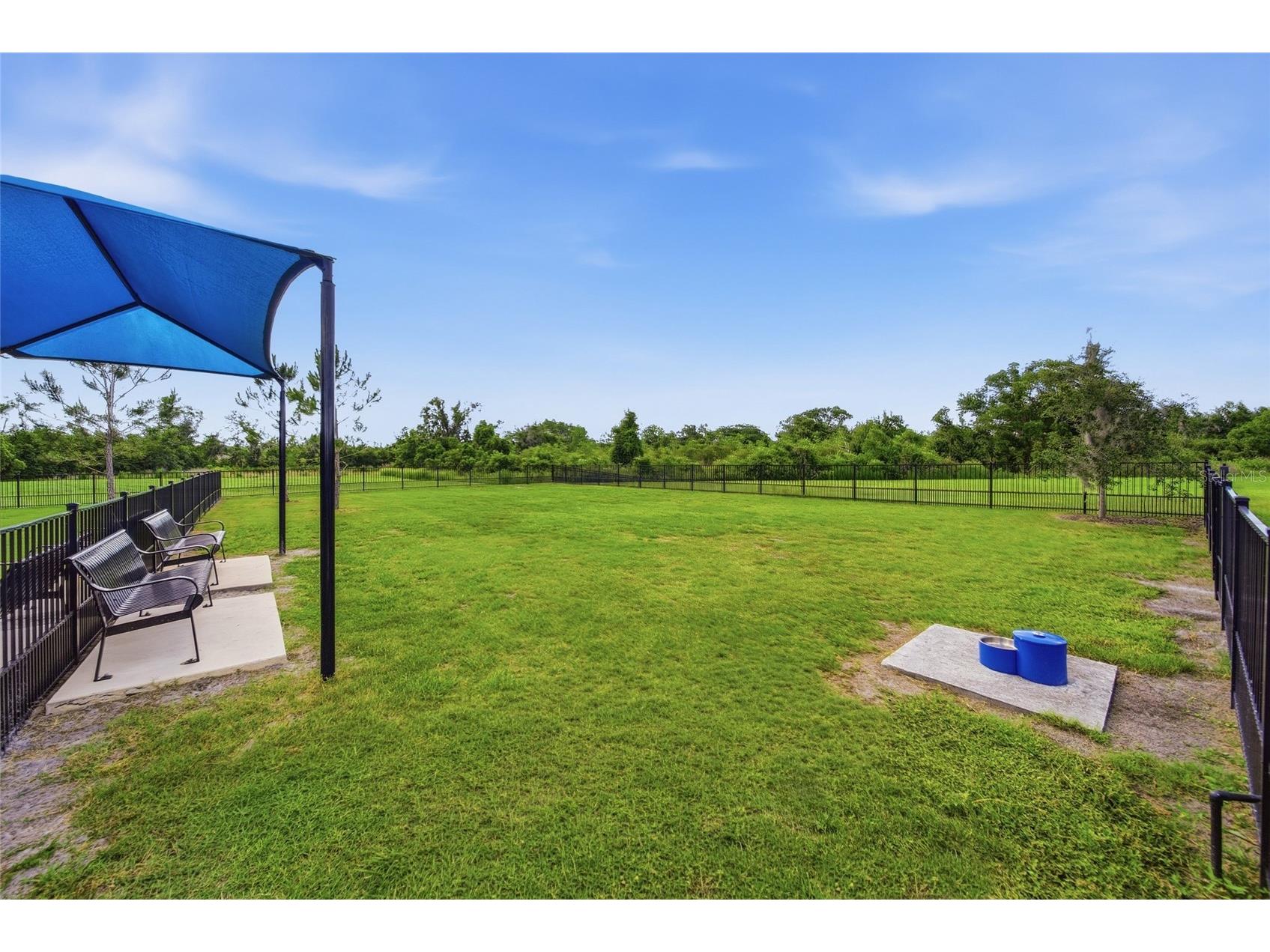 3834 Maple Bay Lane Land O Lakes FL 34638 TB8517076 image54