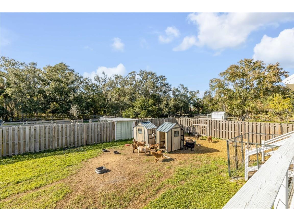 3834 Pioneer Trail New Smyrna Beach FL 32168 NS1086719 image38