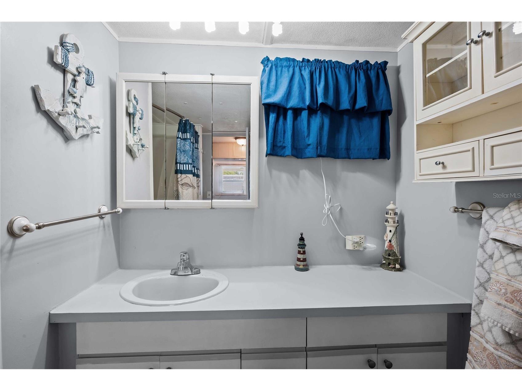 3834 Sarah Drive Wesley Chapel FL 33543 TB8519356 image18