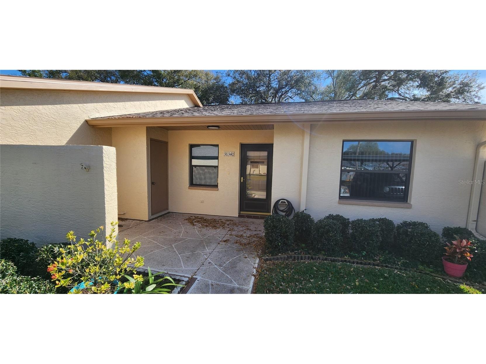 38340 Cottonwood Place #38340 Zephyrhills FL 33542 U8232829 image1