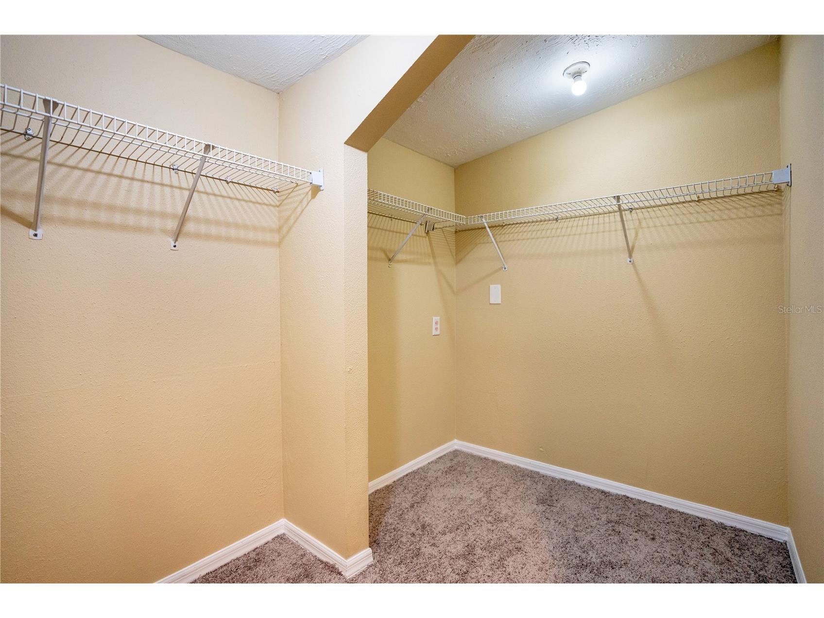 38341 Palm Grove Drive Zephyrhills FL 33542 O6392335 image25