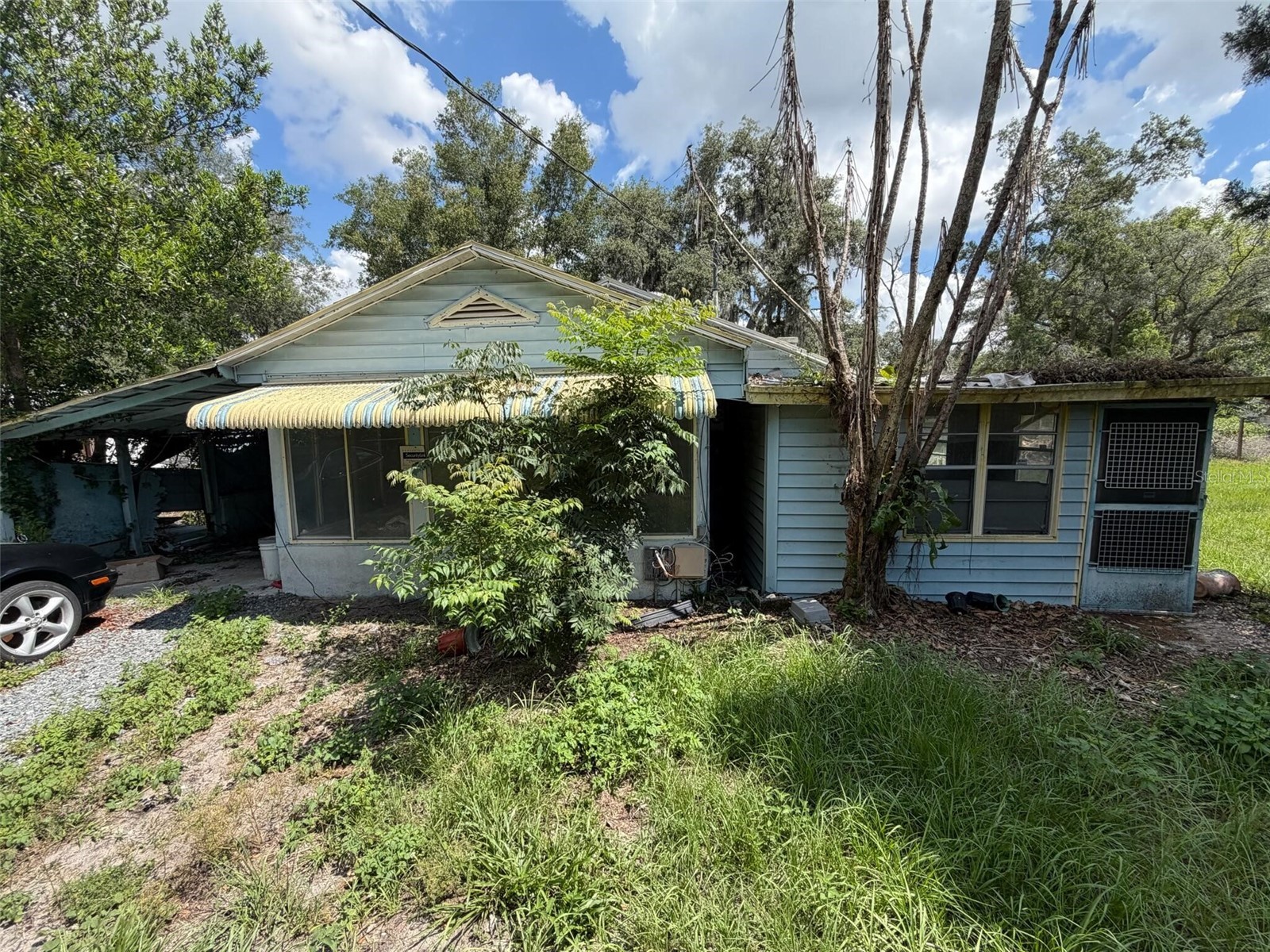 38343 Corey Street Zephyrhills FL 33542 O6417064 image1