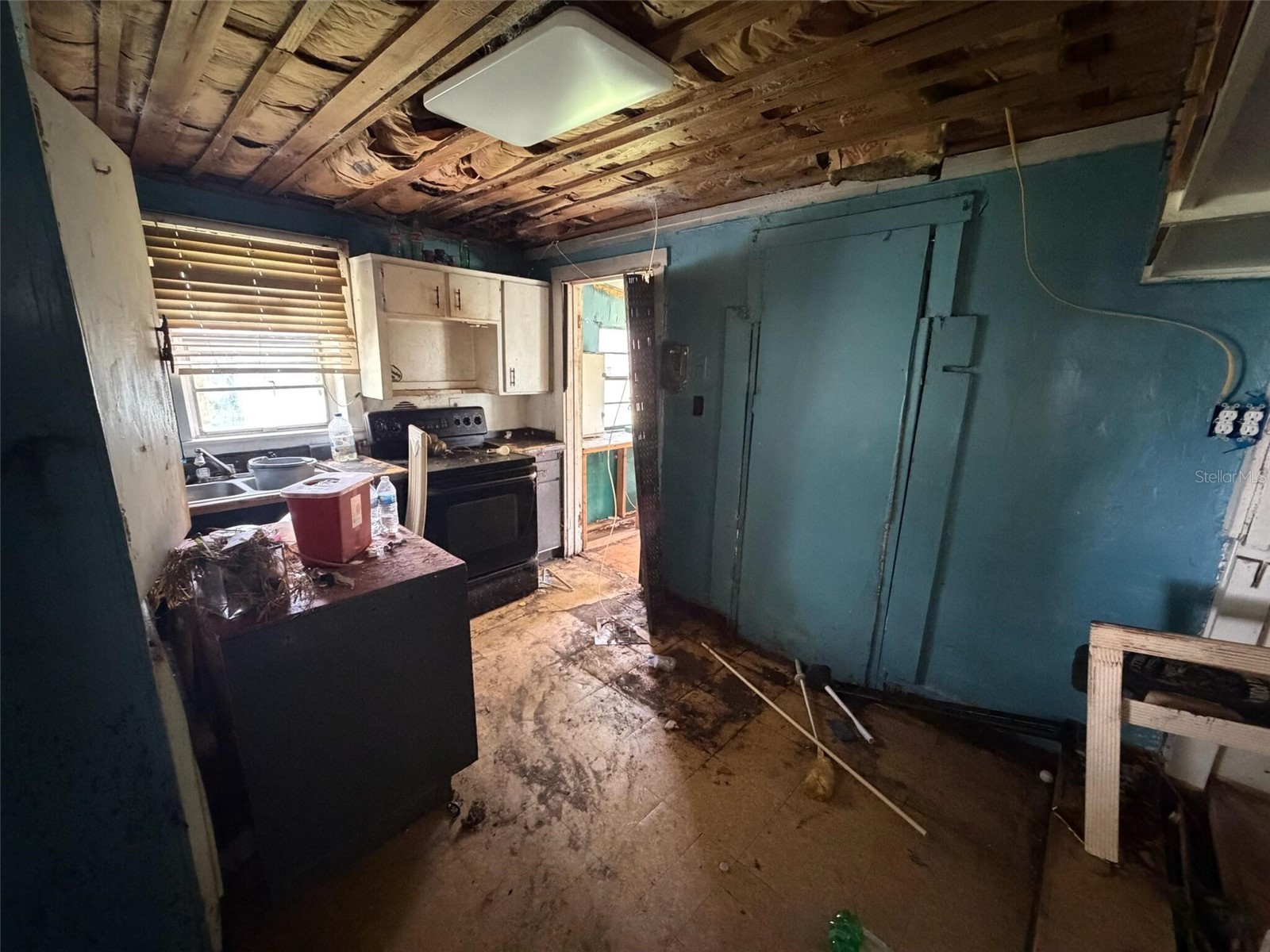 38343 Corey Street Zephyrhills FL 33542 O6417064 image15