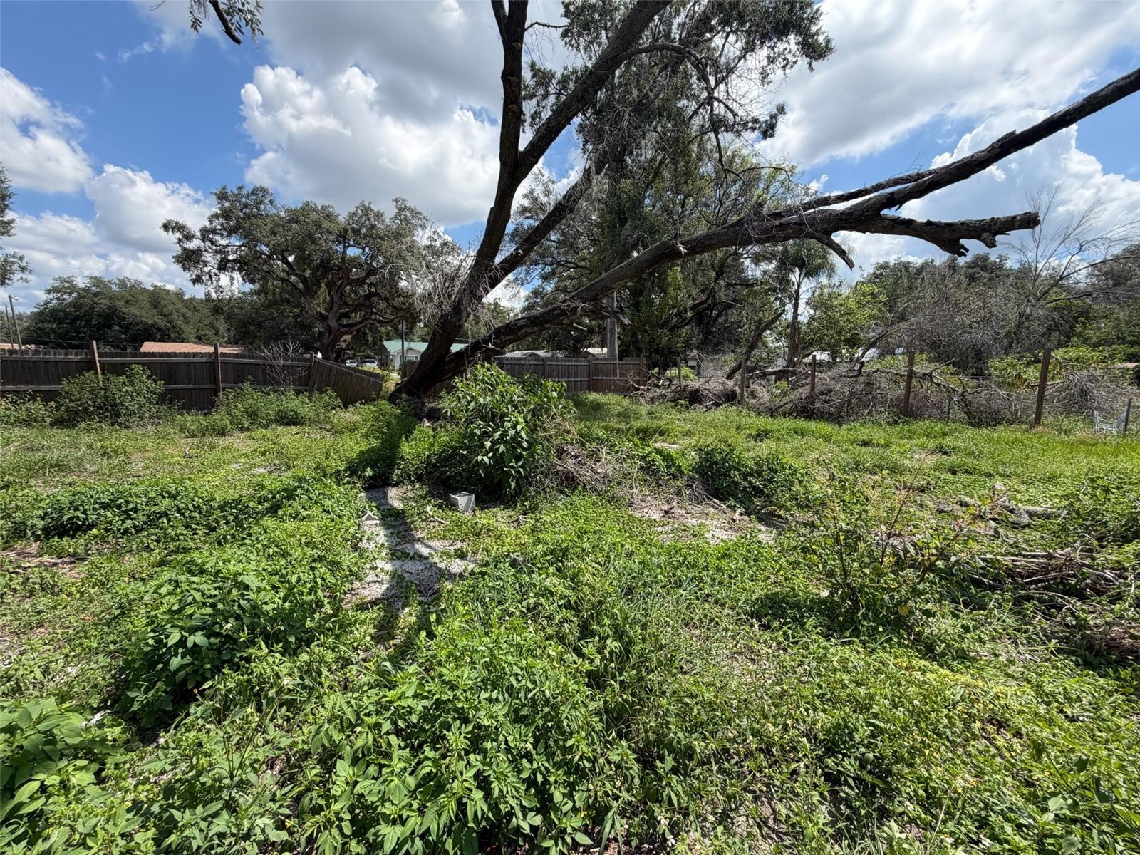 38343 Corey Street Zephyrhills FL 33542 O6417064 image9