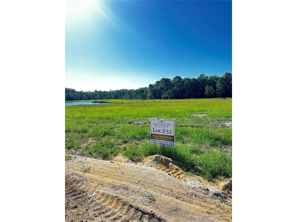 38344 Lake Meadow Court Umatilla FL 32784 - LAKE DALHOUSIE G5084780 image1
