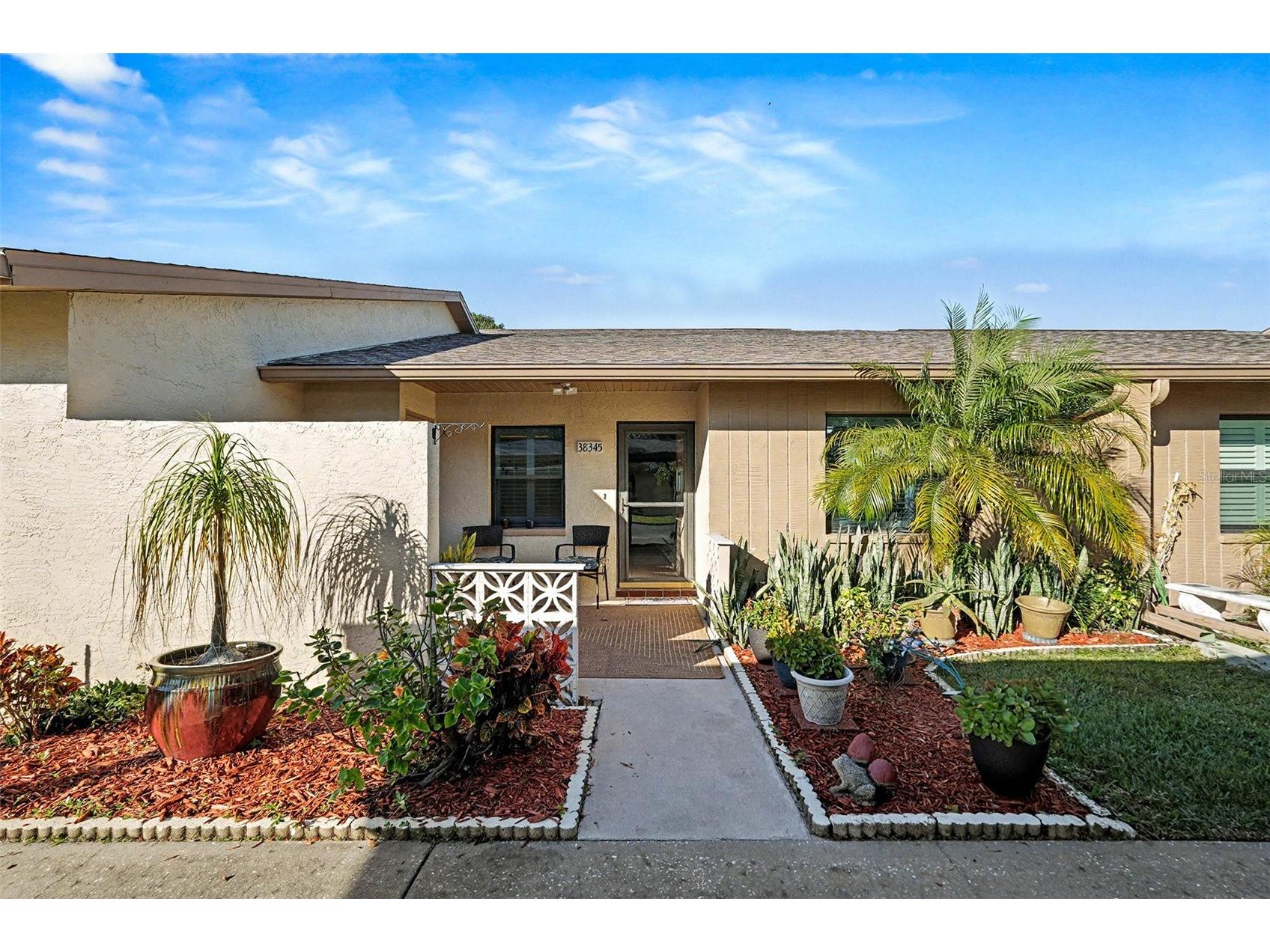 38345 Cottonwood Place #38345 Zephyrhills FL 33542 TB8463688 image1