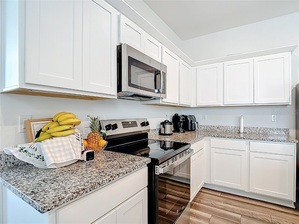 38345 Honeysuckle Drive Dade City FL 33525 TB8454578 image12