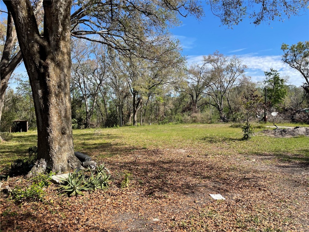 38347 Higginson Road Zephyrhills FL 33540 TB8355250 image1