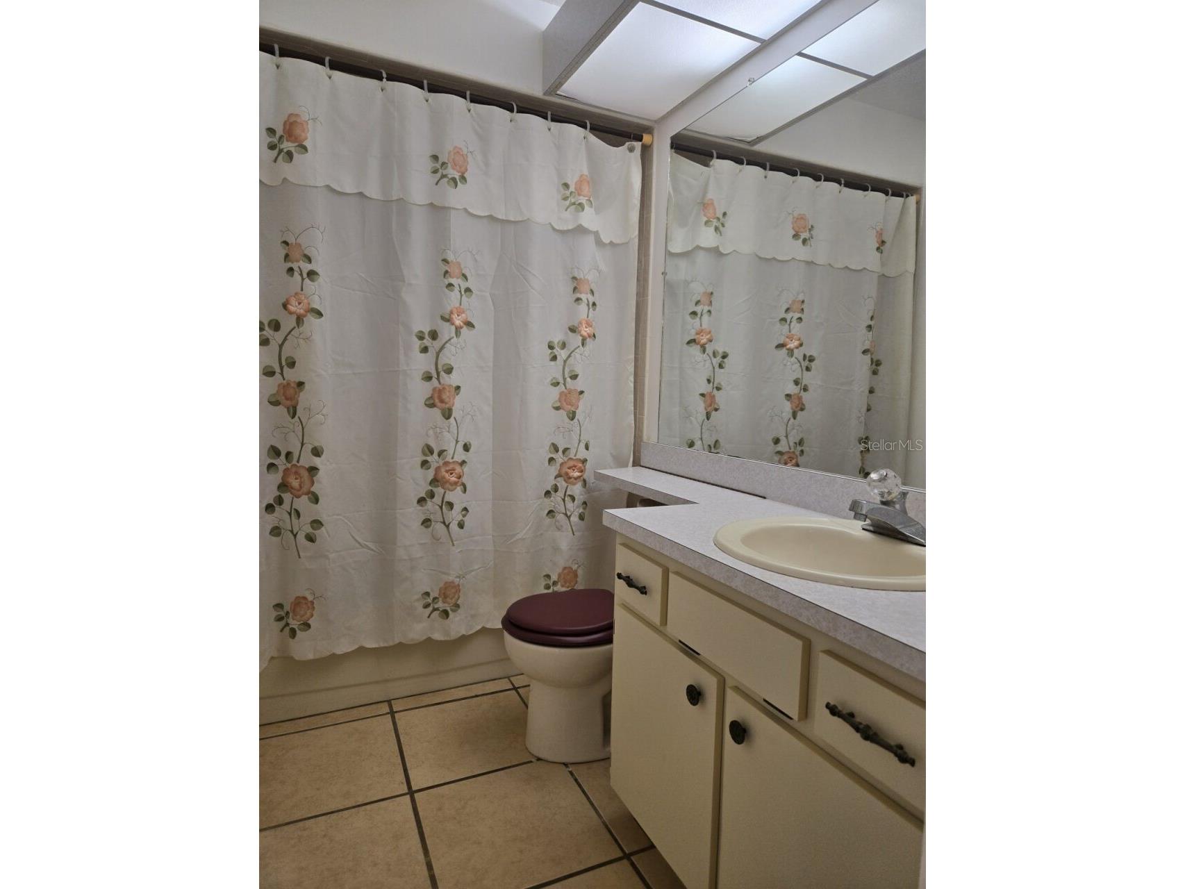 38349 Cottonwood Place #1 Zephyrhills FL 33542 TB8491040 image18