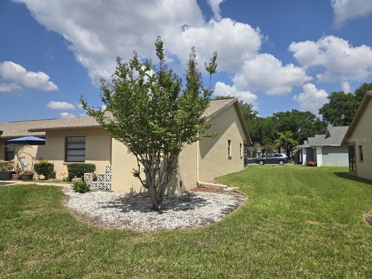 38349 Cottonwood Place #1 Zephyrhills FL 33542 TB8491040 image5