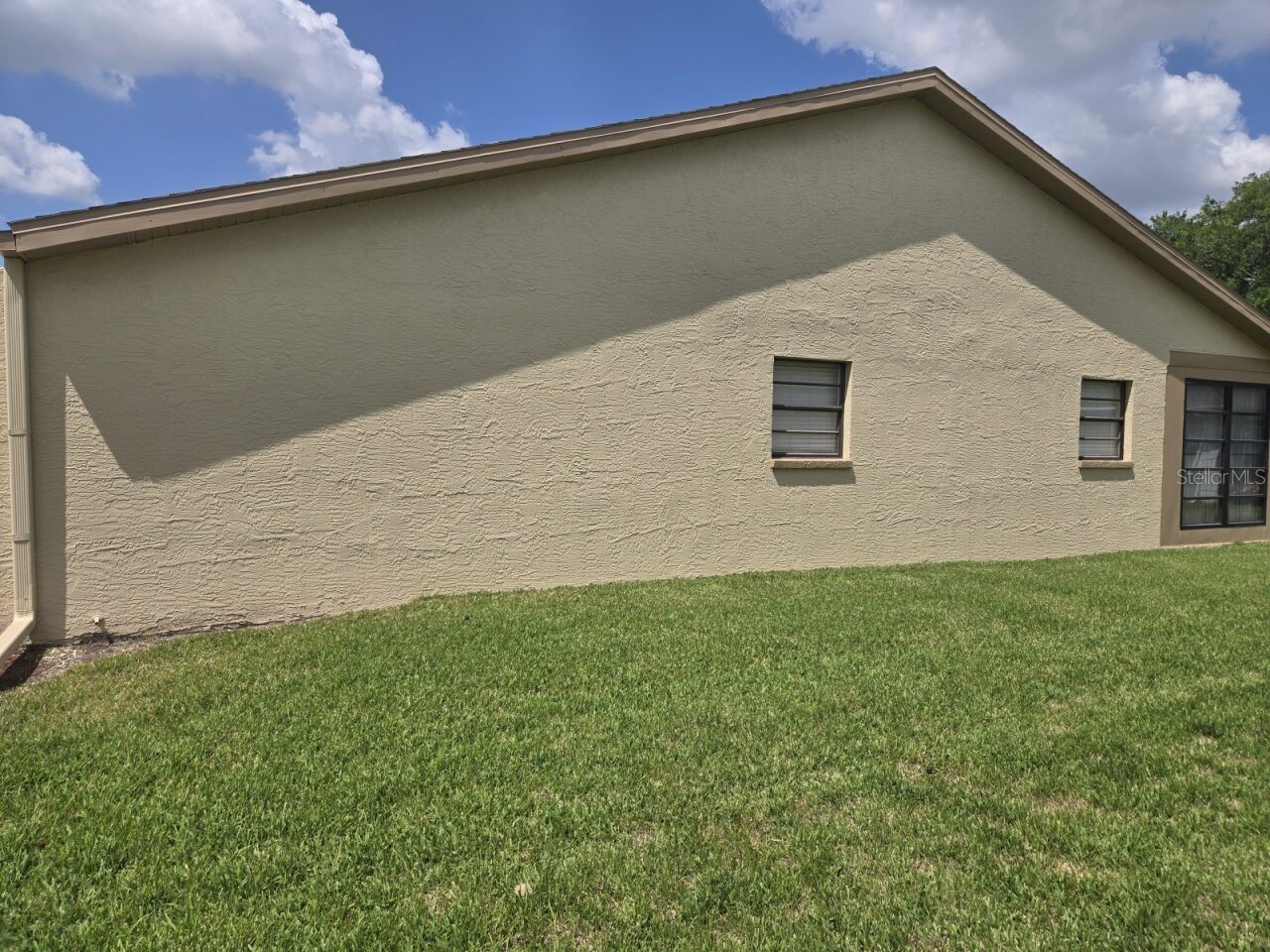 38349 Cottonwood Place #1 Zephyrhills FL 33542 TB8491040 image6