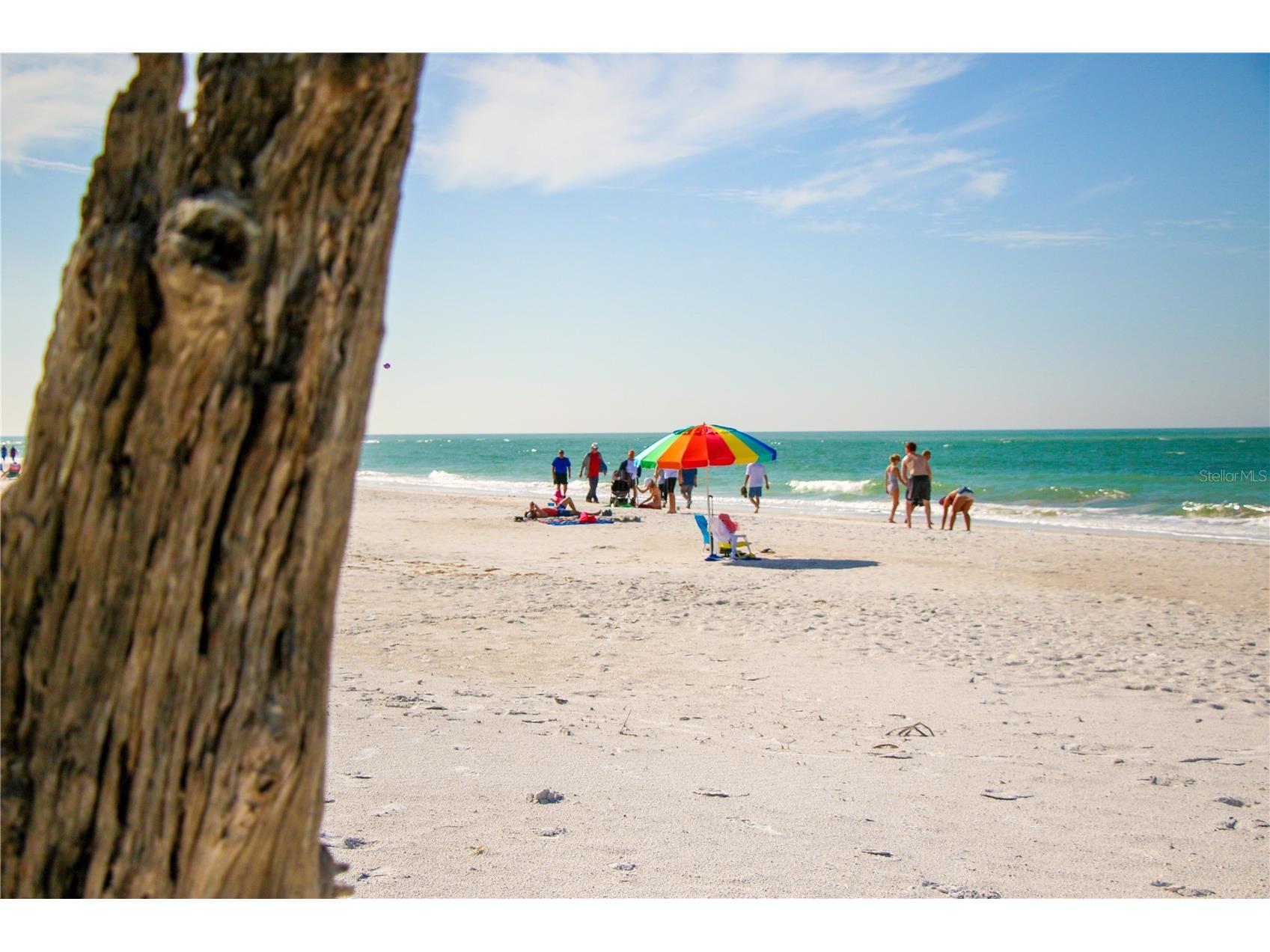 3835 Almeria Court #C1 Sarasota FL 34239 A4671843 image37