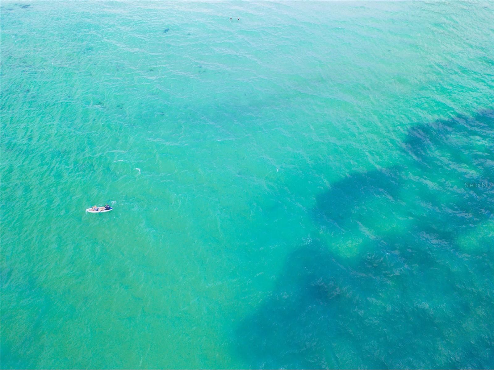 3835 Almeria Court #C1 Sarasota FL 34239 A4671843 image68