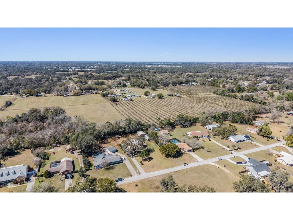 3835 Florida Ranch Boulevard Zephyrhills FL 33541 TB8481401 image38