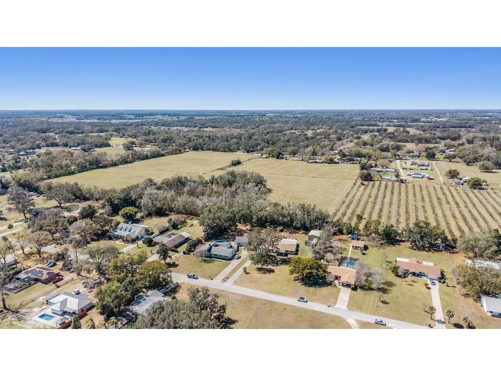 3835 Florida Ranch Boulevard Zephyrhills FL 33541 TB8481401 image40