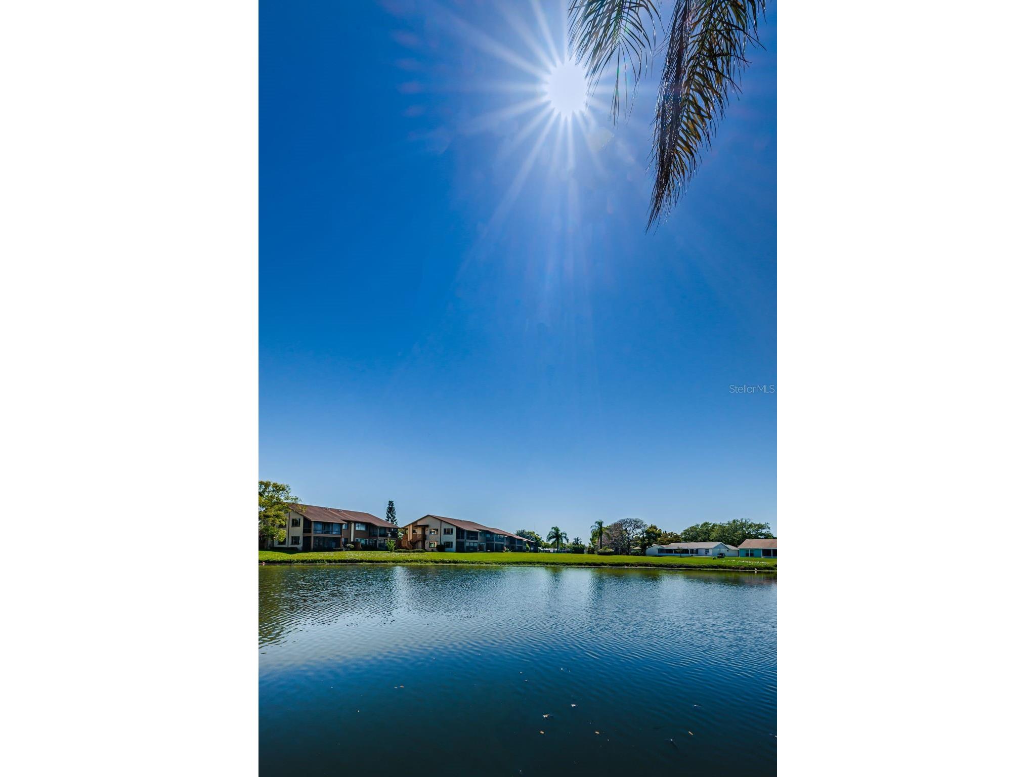 3835 Lighthouse Way New Port Richey FL 34652 W7885970 image75
