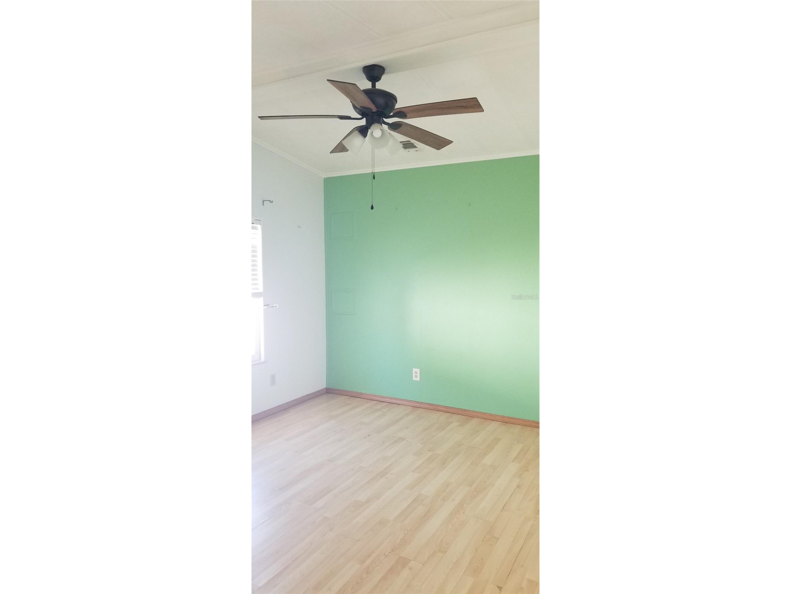 3835 Lomi Lomi Drive Holiday FL 34691 TB8444722 image29
