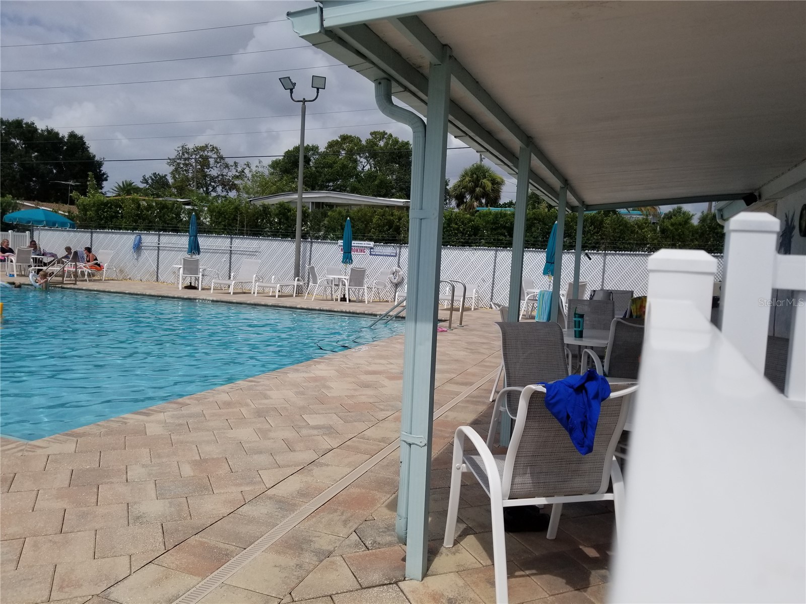 3835 Lomi Lomi Drive Holiday FL 34691 TB8444722 image42