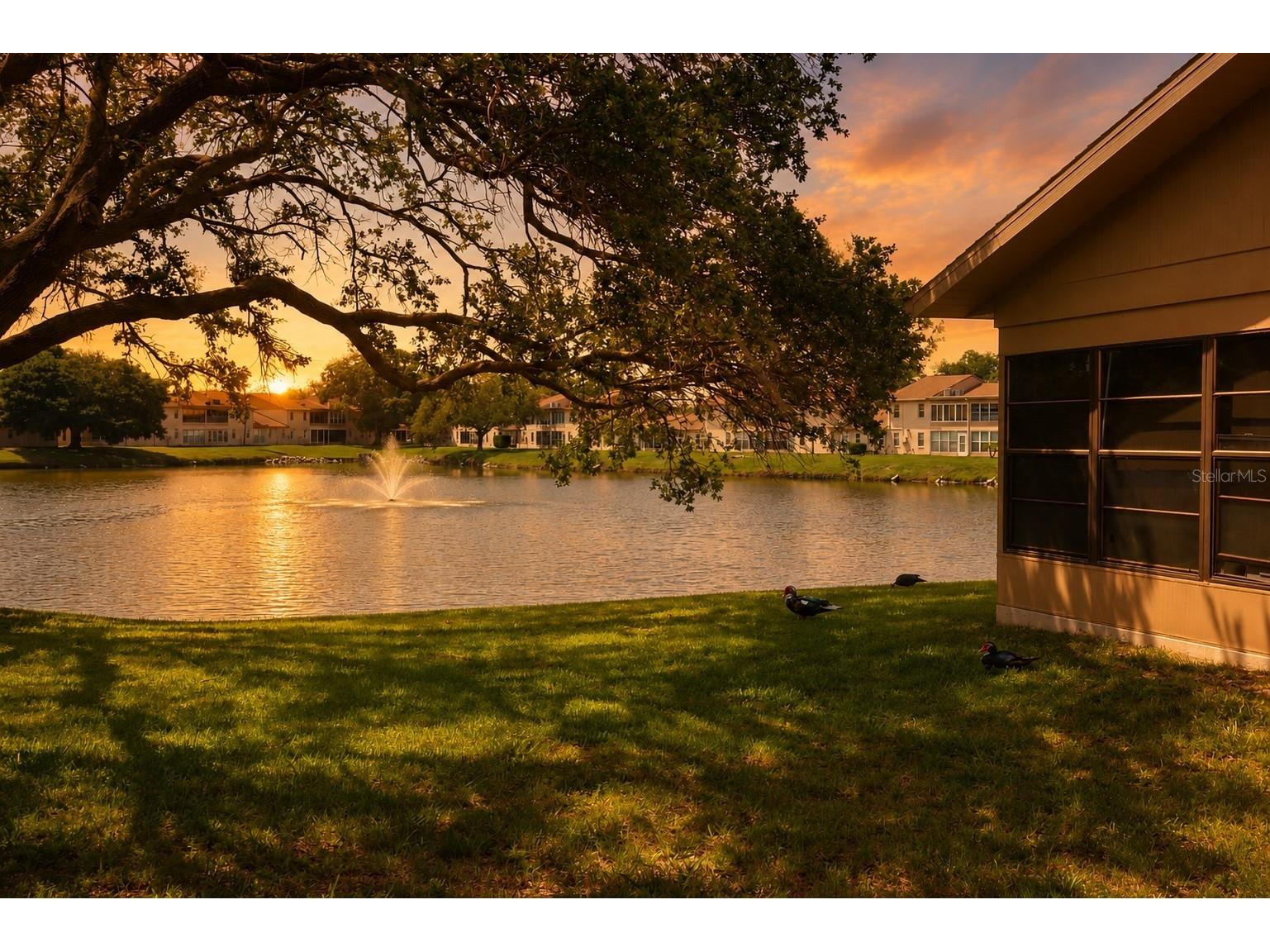 3835 Sailmaker Lane Holiday FL 34691 TB8515686 image3