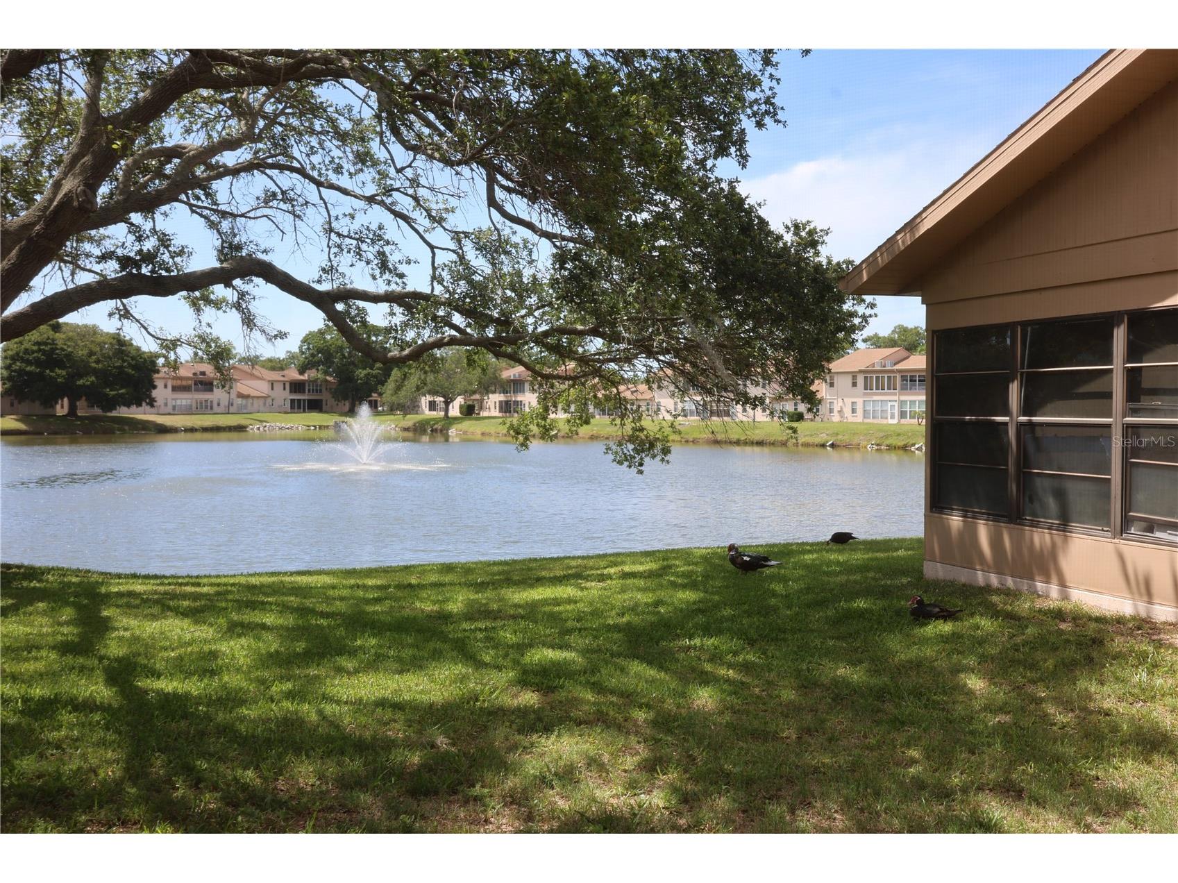 3835 Sailmaker Lane Holiday FL 34691 TB8515686 image36
