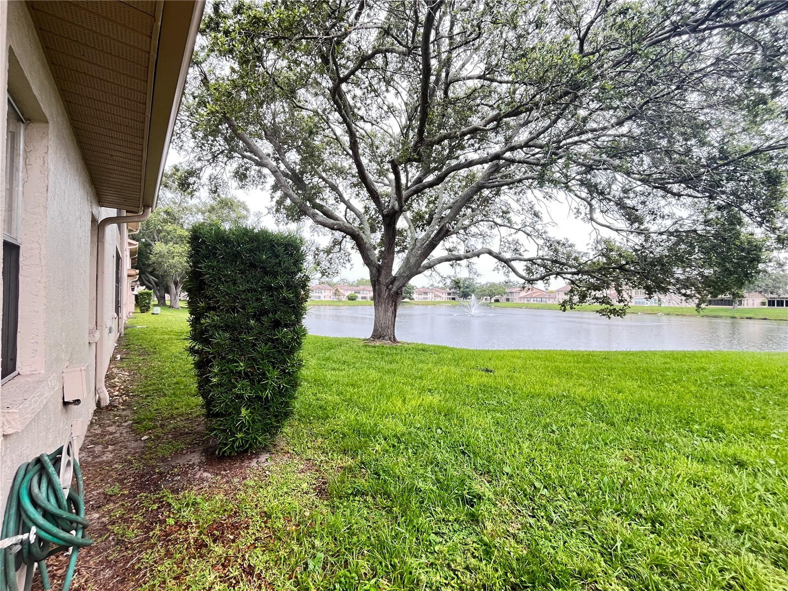3835 Sailmaker Lane Holiday FL 34691 TB8515686 image37