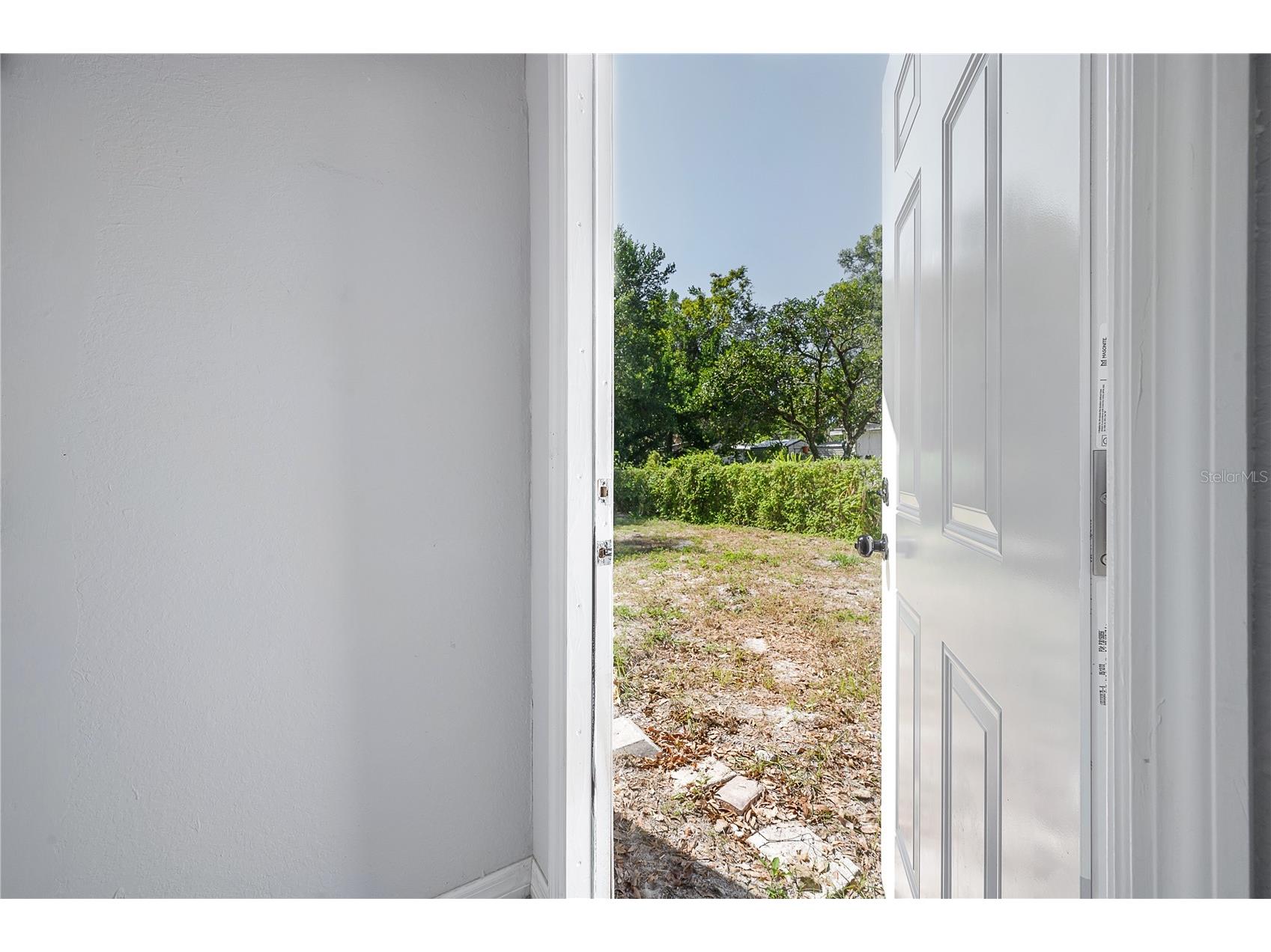 38352 Corey Street Zephyrhills FL 33542 TB8445465 image29